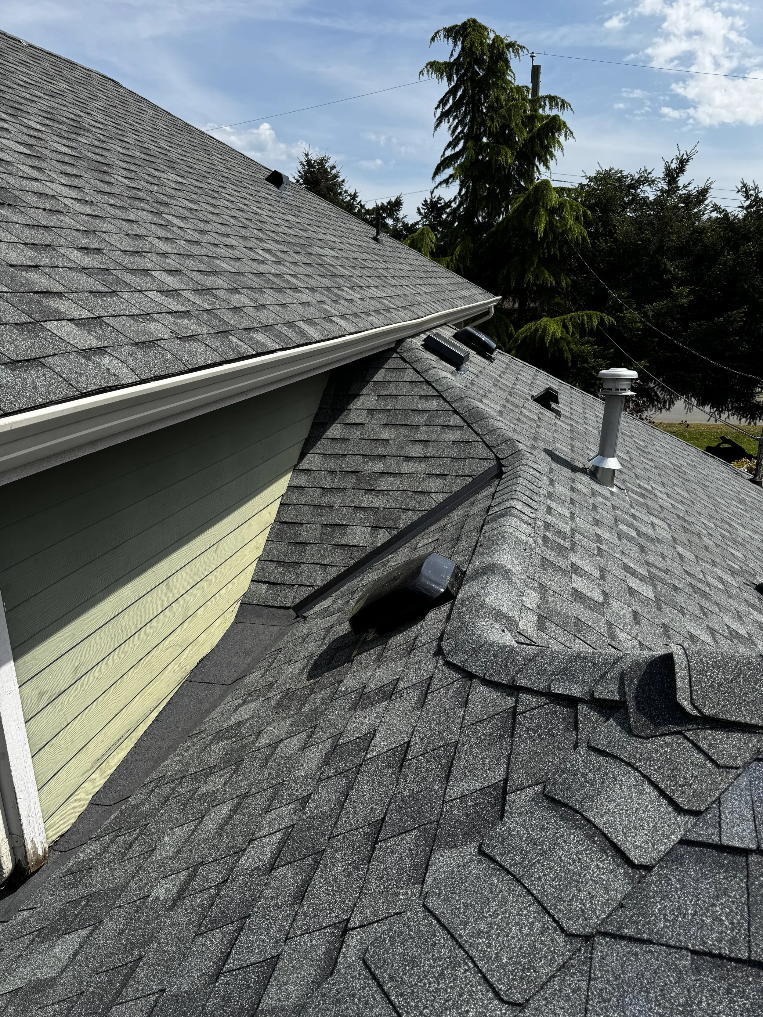 View of a grey shingled roof with a vent pipe, an attic vent, and a squirrel guard, beside a lime green house wall and tall green trees in the background, under a partly cloudy sky.