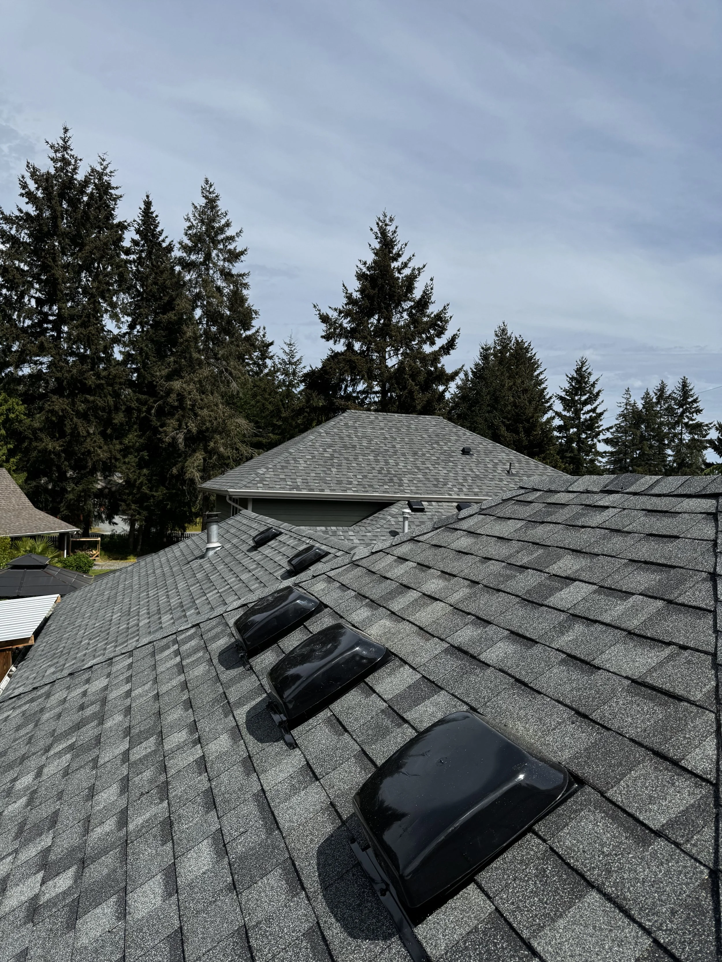 View of rooftops with shingle roofing and solar panels, tall evergreen trees in the background, and a partly cloudy sky.
