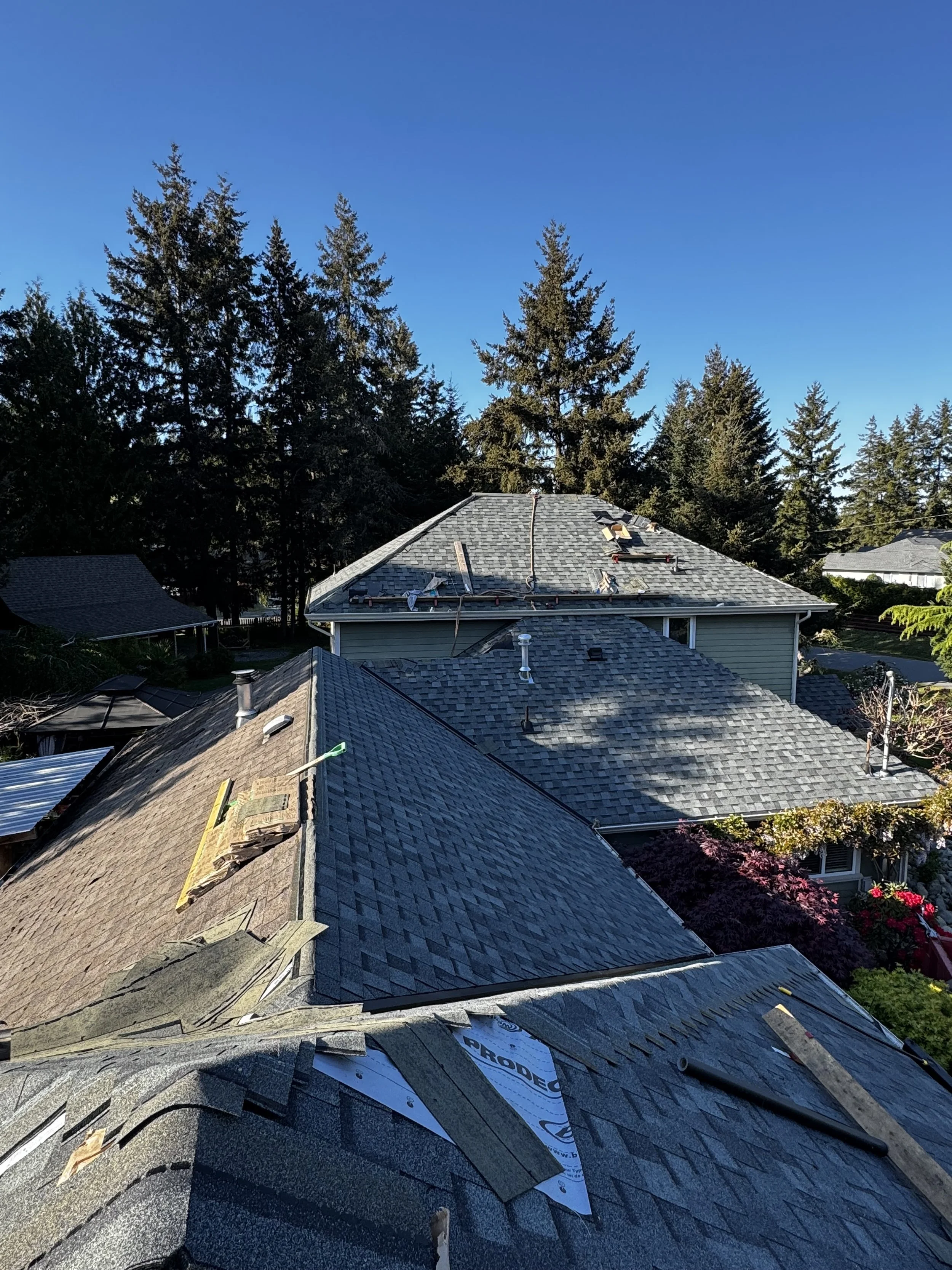 View of house rooftops with new shingles being installed, surrounded by tall evergreen trees and clear blue sky.