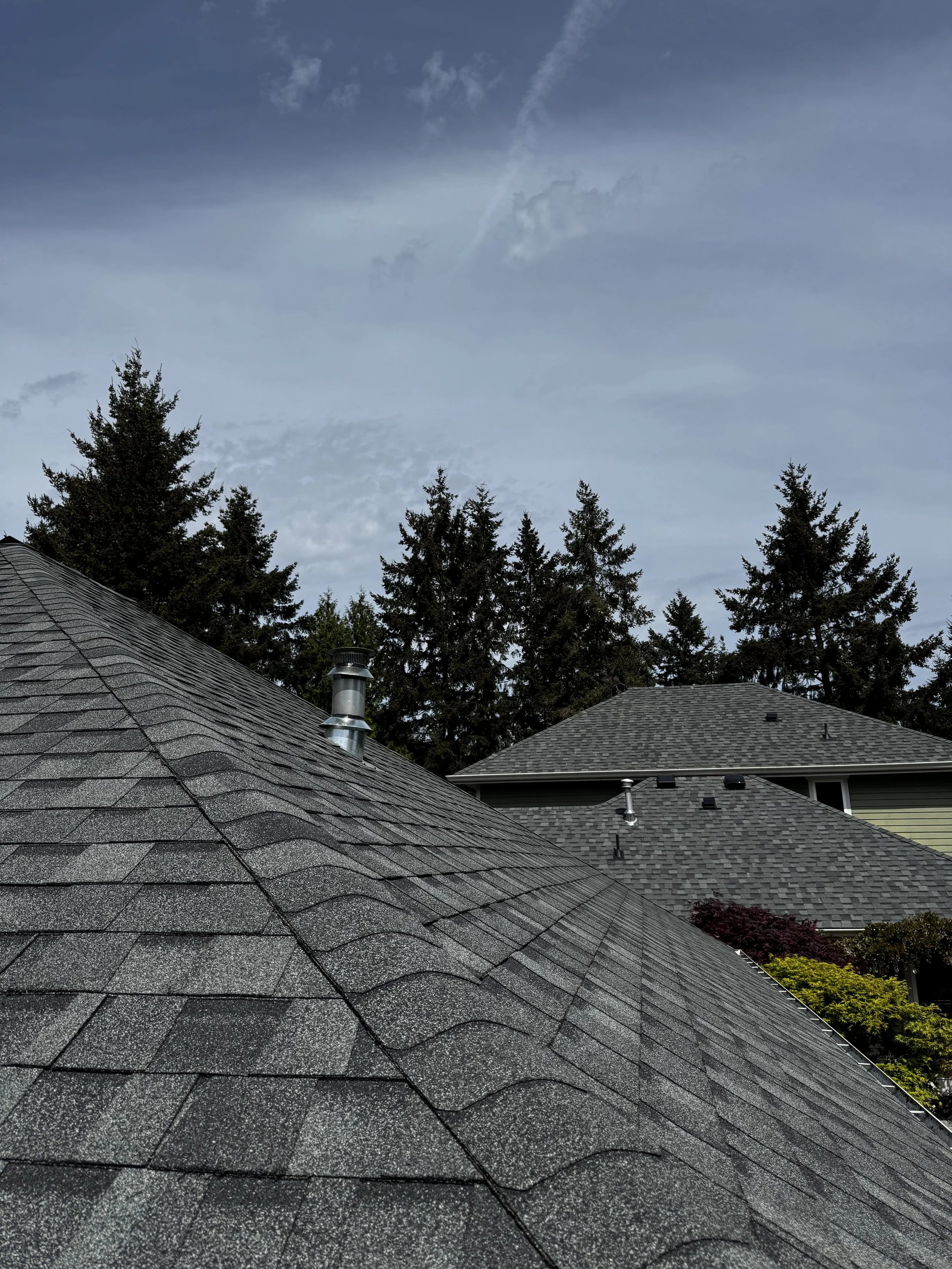 View of rooftops with gray shingles, tall evergreen trees, and a cloudy sky.
