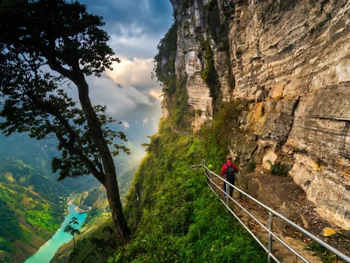 White Cliff