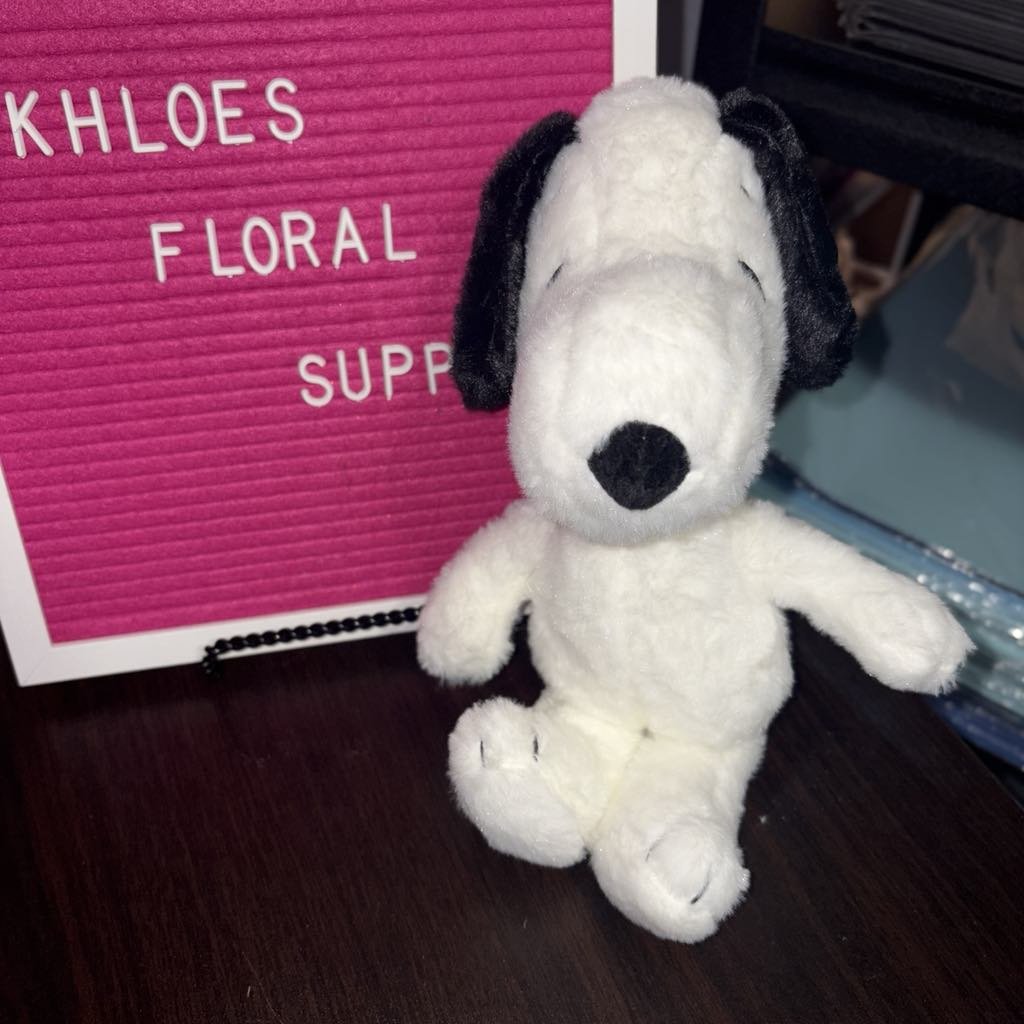 Snoopy 9 inches
