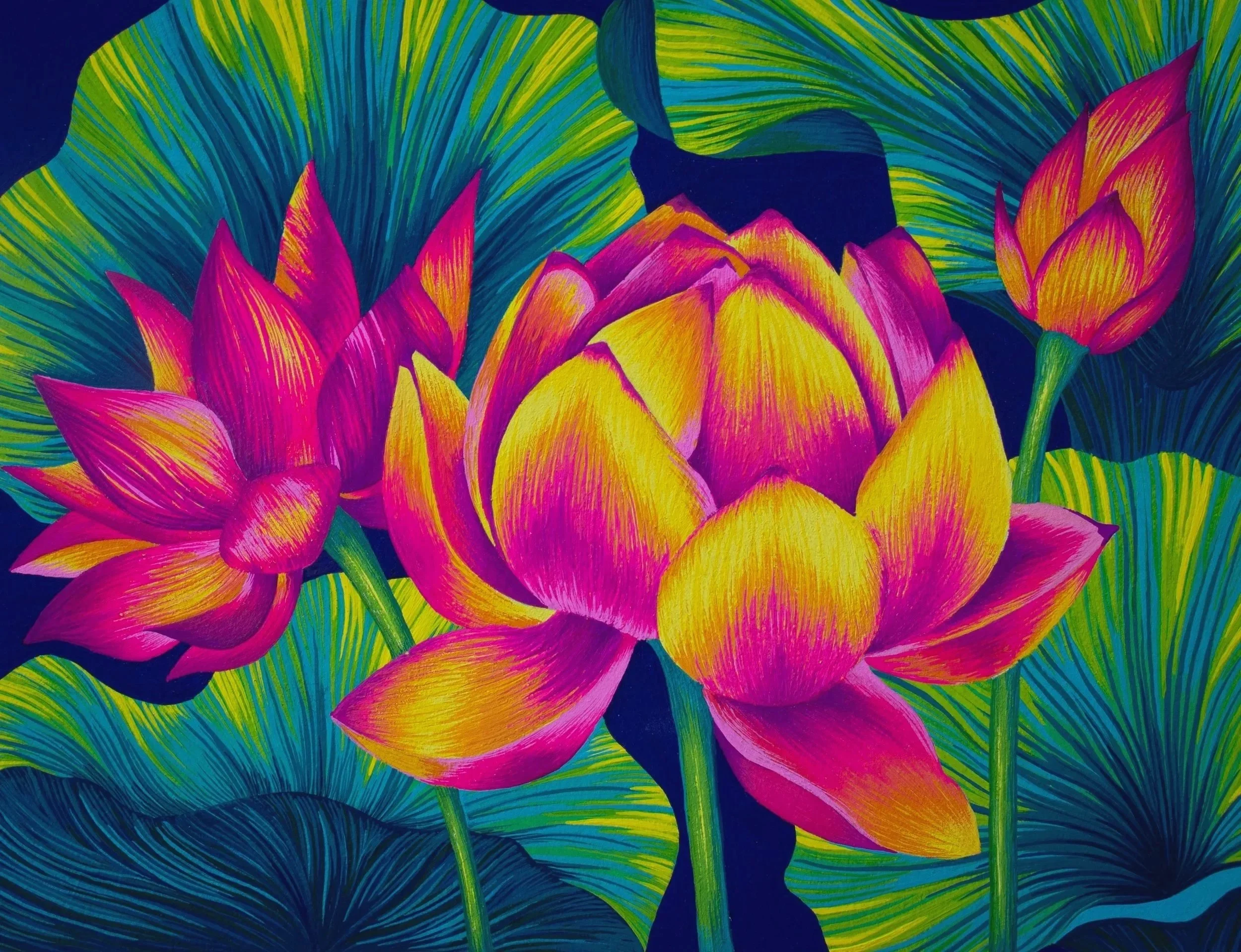 Colorful illustration of vibrant pink and yellow lotus flowers with green leaves against a dark background.