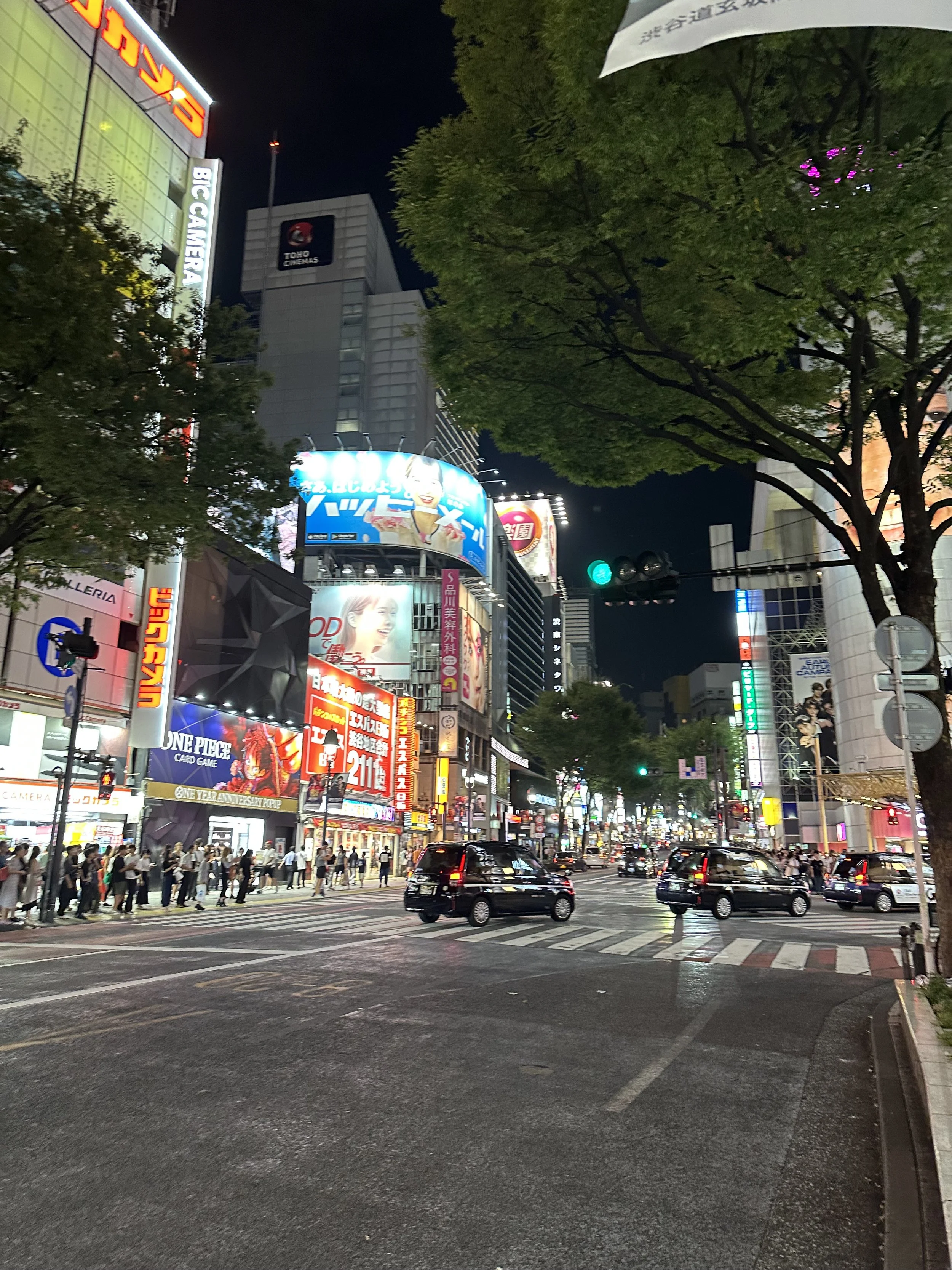 IMG_2485.jpeg