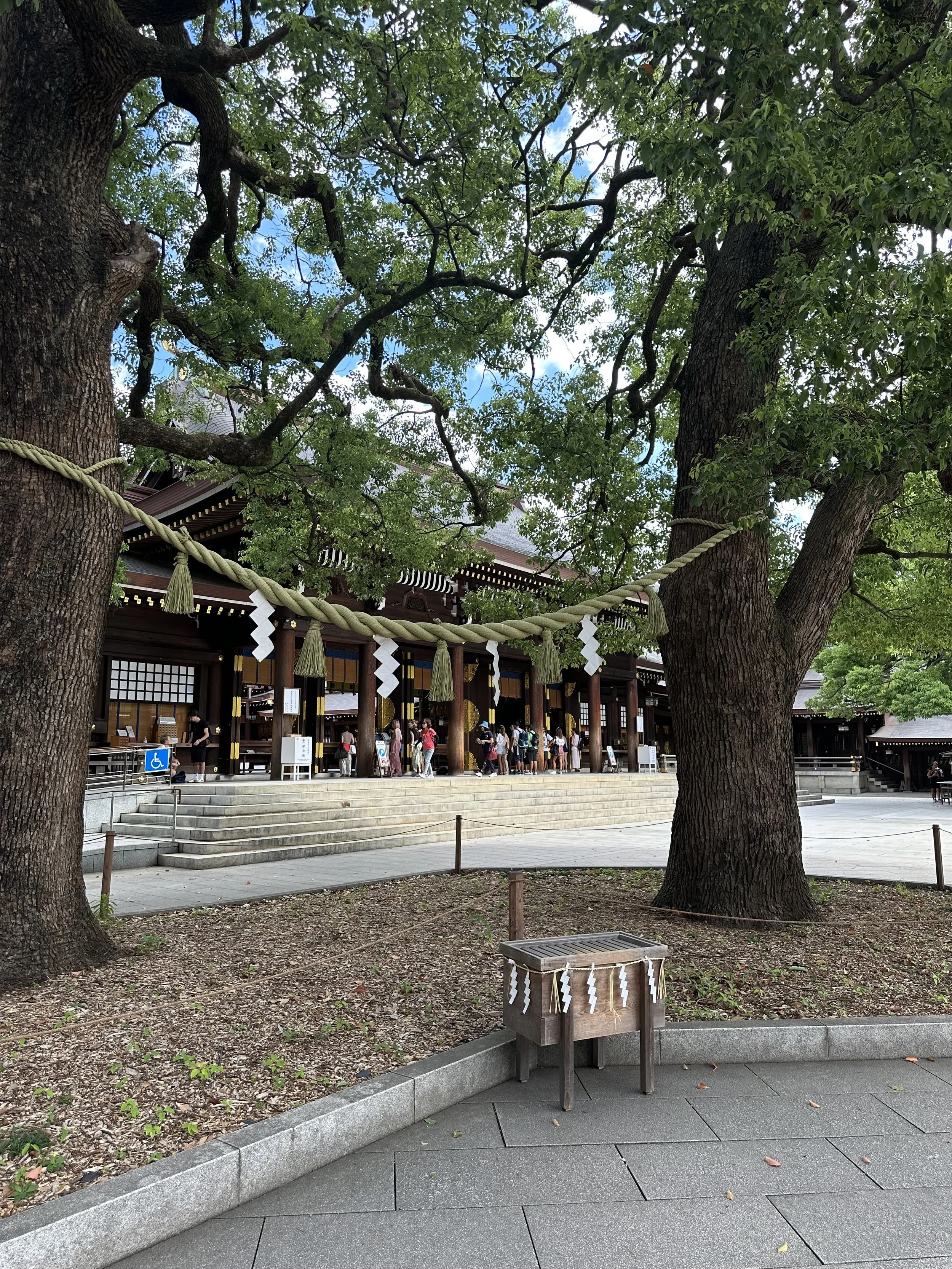 IMG_2779.jpeg