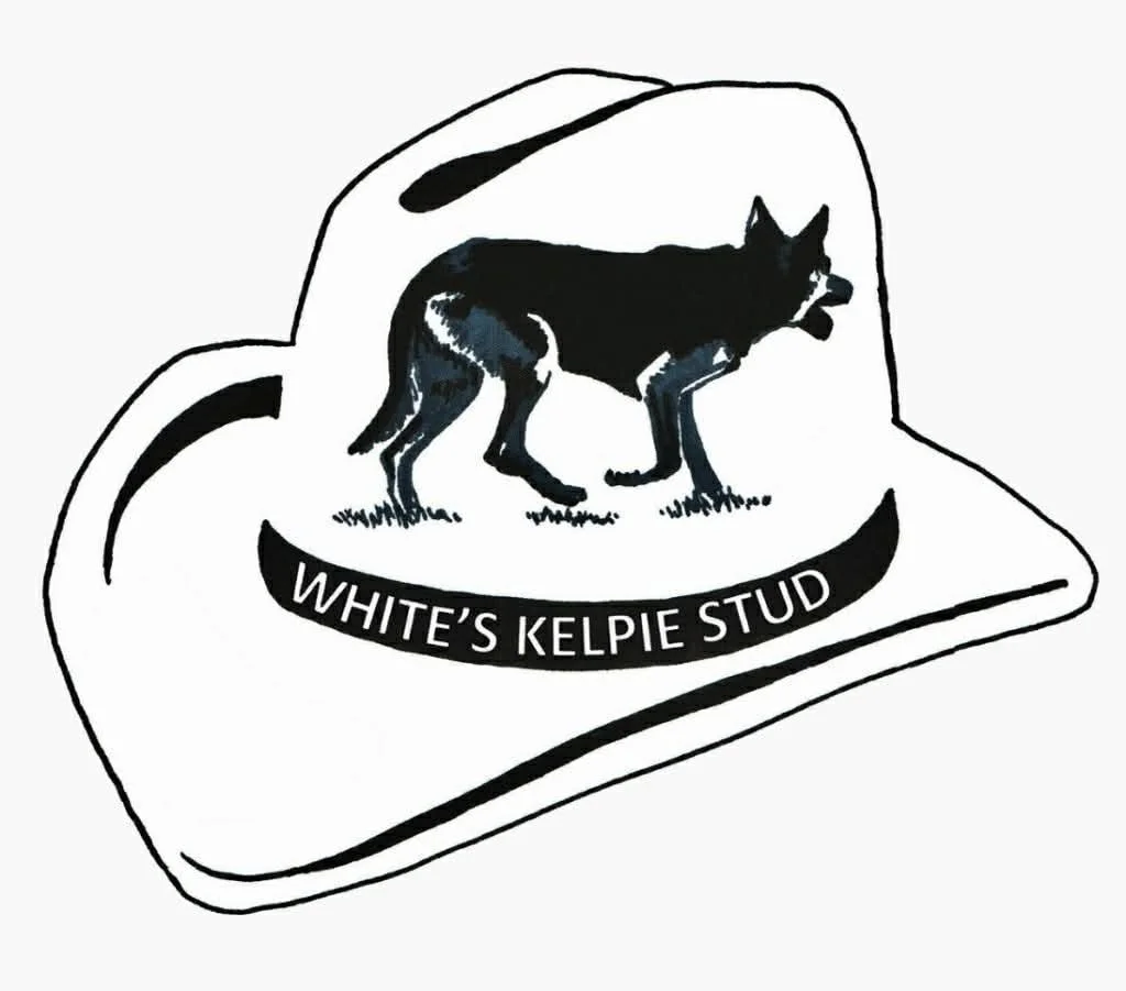Working Dog School - Gary White