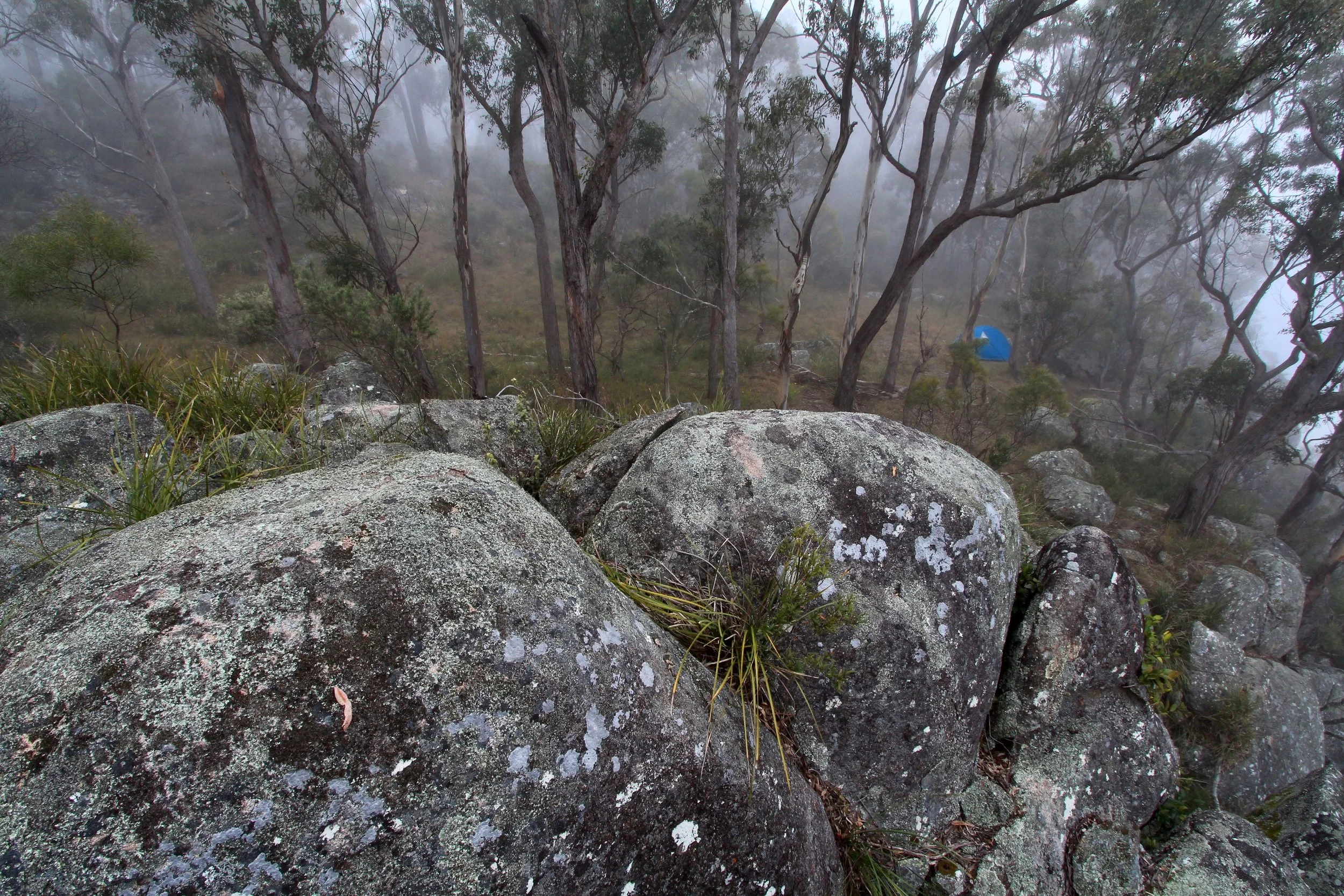 17 Dec 2024 - "Curiosity may be considered by many as the greatest trait in the advancement of humanity, but I am learning that it is worthless without a bit of fortitude." Chris Armstrong, Wild, Issue 194. 

Some more pics from our 19 day adventure 