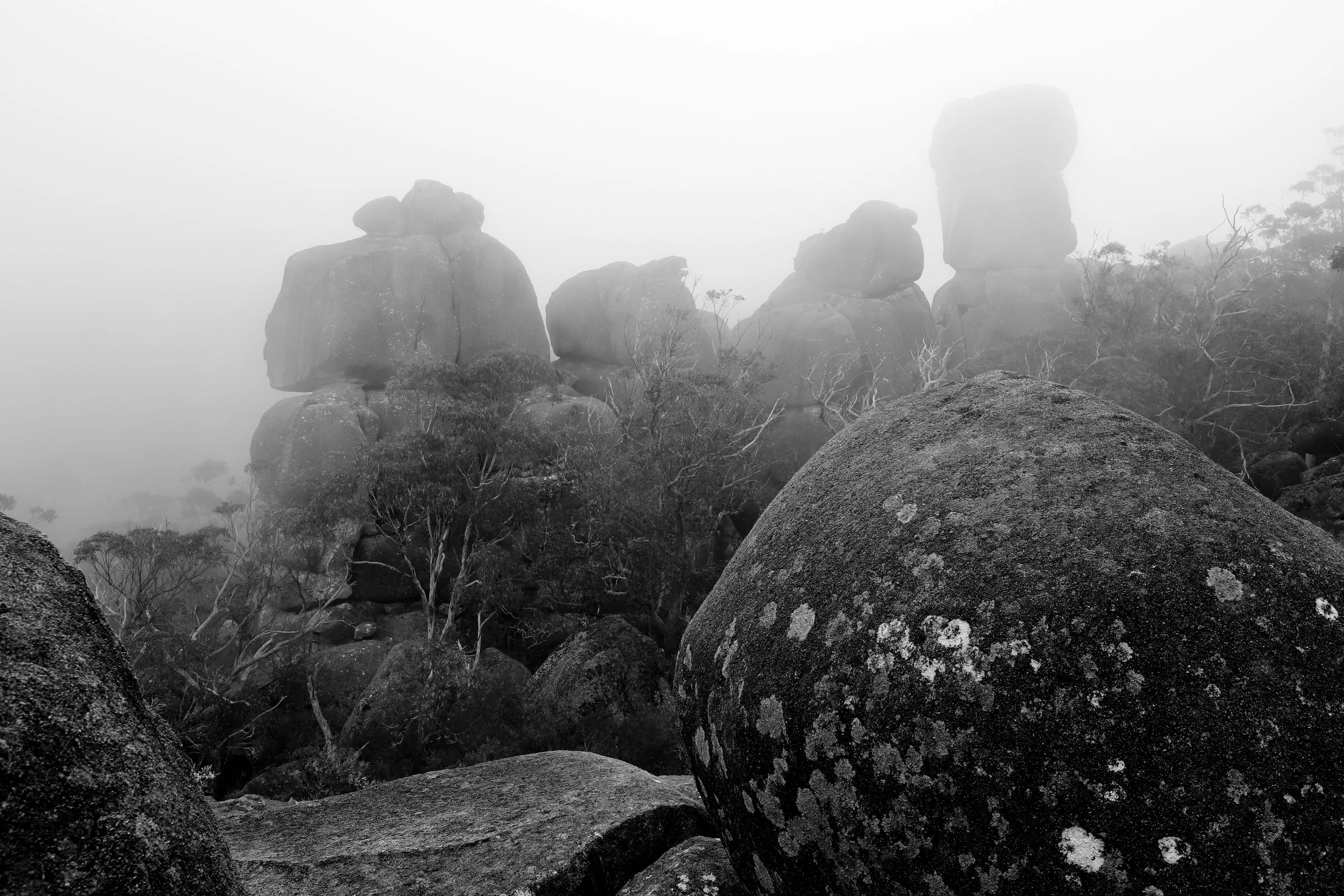 The drama of Cathedral Rocks. Its altitude often catching the passing weather. 