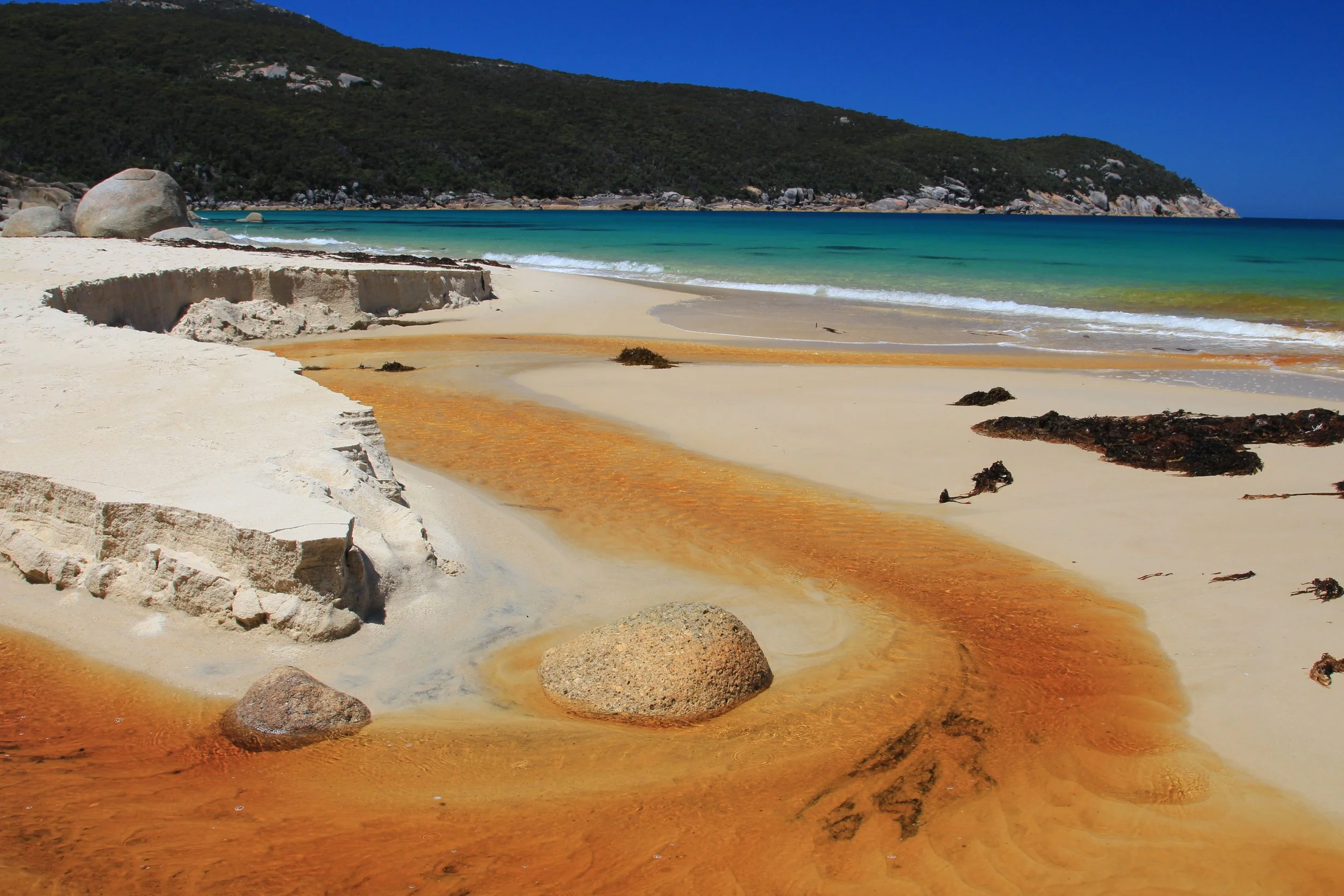 Wilsons Promontory National Park, VIC