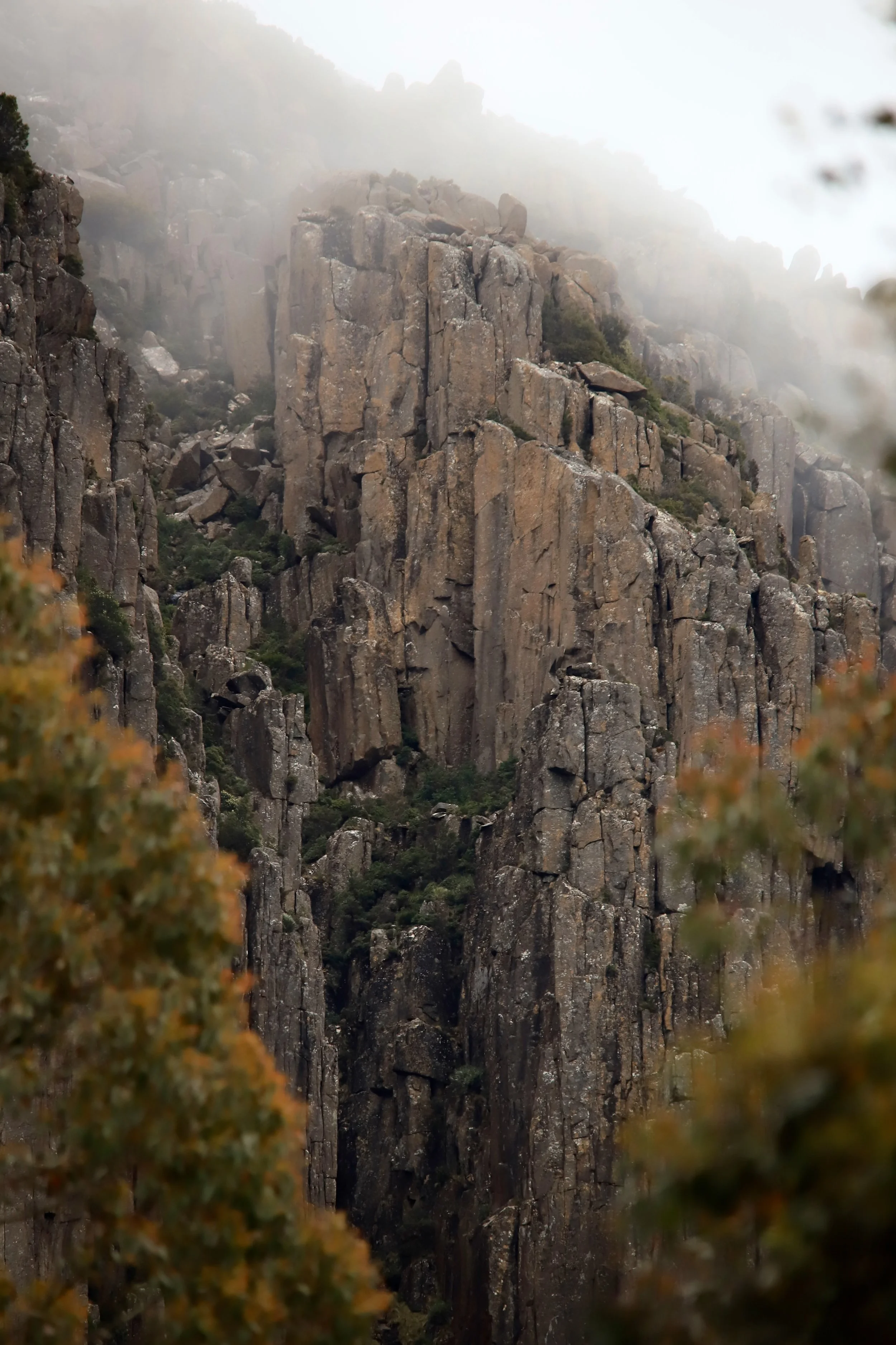 24 Nov 2024 - Kunanyi mist. A day above the Organ Pipes.