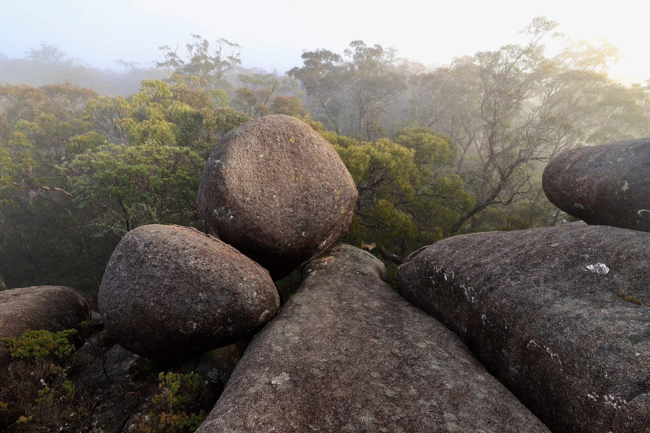 Low cloud after overnight rain in the granite maze on the western fall. 