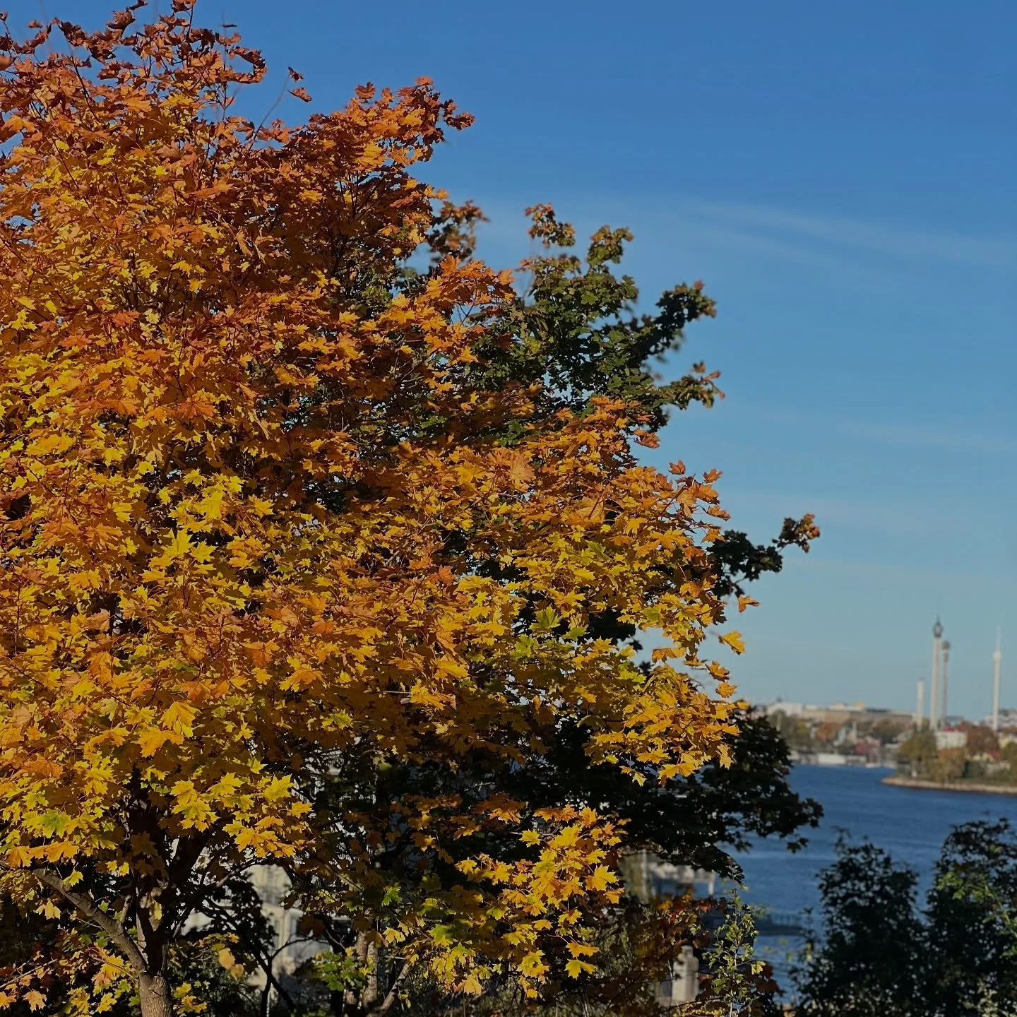 S&aring; h&auml;r str&aring;lande var veckan helt enkelt! ☀️🍁 

Ut&ouml;ver att just nu befinna sig i v&aring;r vackra huvudstad med en sol som skiner starkt i den h&ouml;ga luften s&aring; k&auml;nns det som solen &auml;ven tr&auml;ngt in i varje h