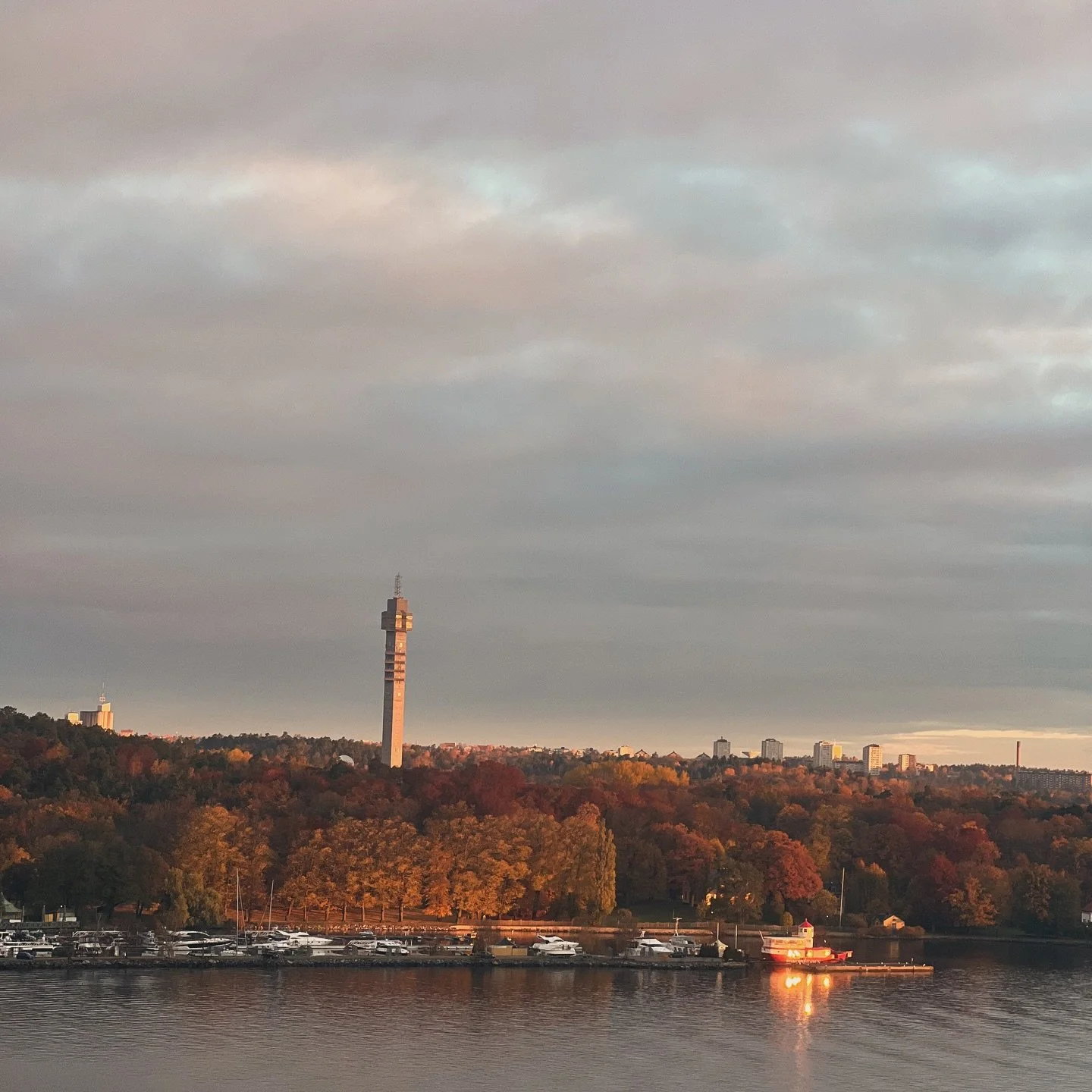 🍁 🧡 🍂 🤎

M O R N I N G  L I G H T 💫 

Have a wonderful day! 

#autumncolours #autumlight #morninglight☀️ #sunrise #goodvibes #resebemanningochrekrytering