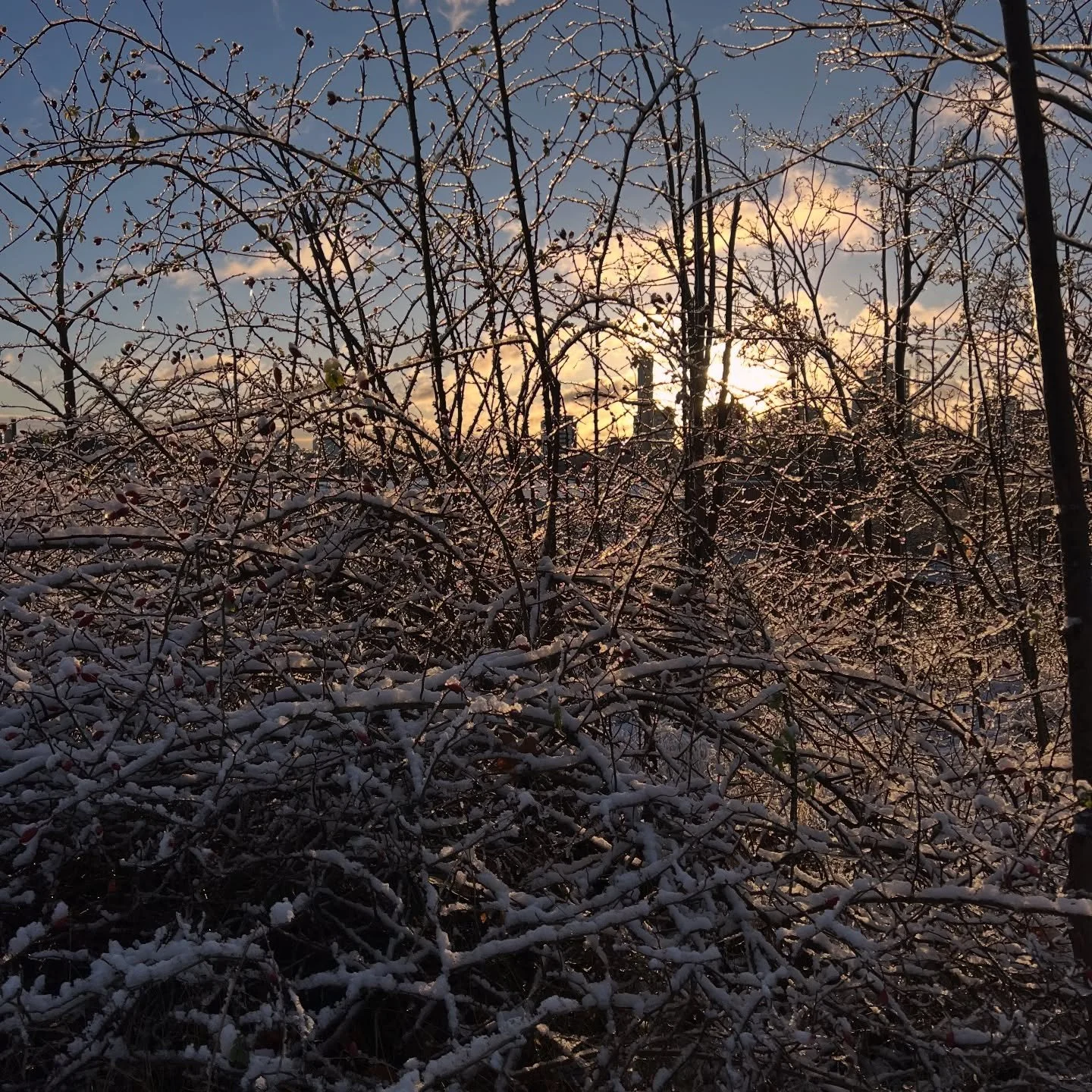 ꜱᴡᴇᴇᴛ ꜱᴜɴʟɪɢʜᴛ 🌄 ꜱᴡᴇᴇᴛ ꜱᴜɴʟɪɢʜᴛ 🙏 

#midvintersolst&aring;nd #nuv&auml;nderdet #ljusaretider #resebemanningochrekrytering #sunrise