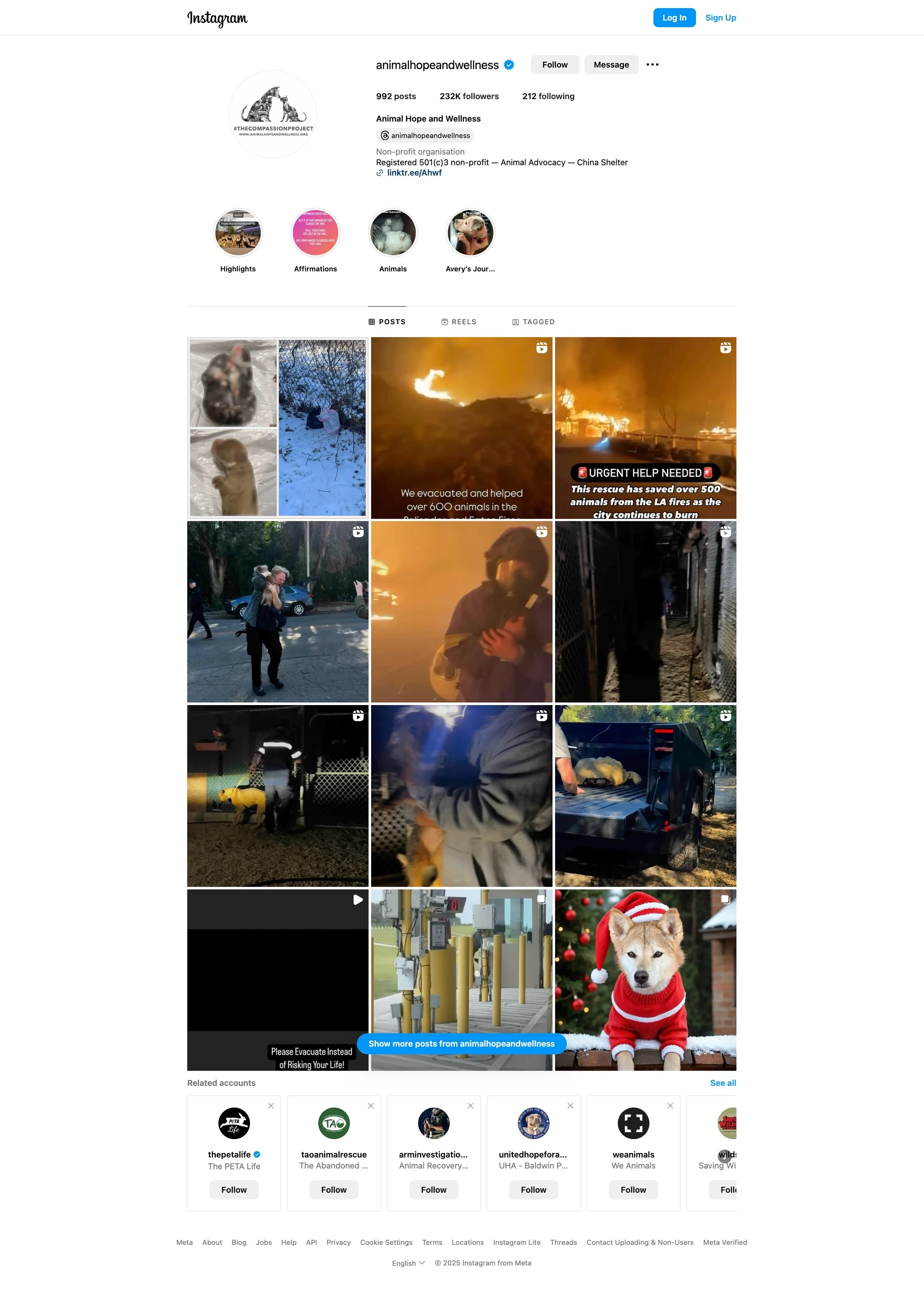 Marc Ching Animal Hope and Wellness Foundation  instagram DO NOT DONATE to them they run a ring of abuse and use the most horrific abuse to gain donations from the public. 