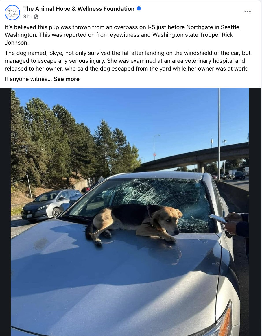 Screenshot 2024-10-05 at 08.36.22.png