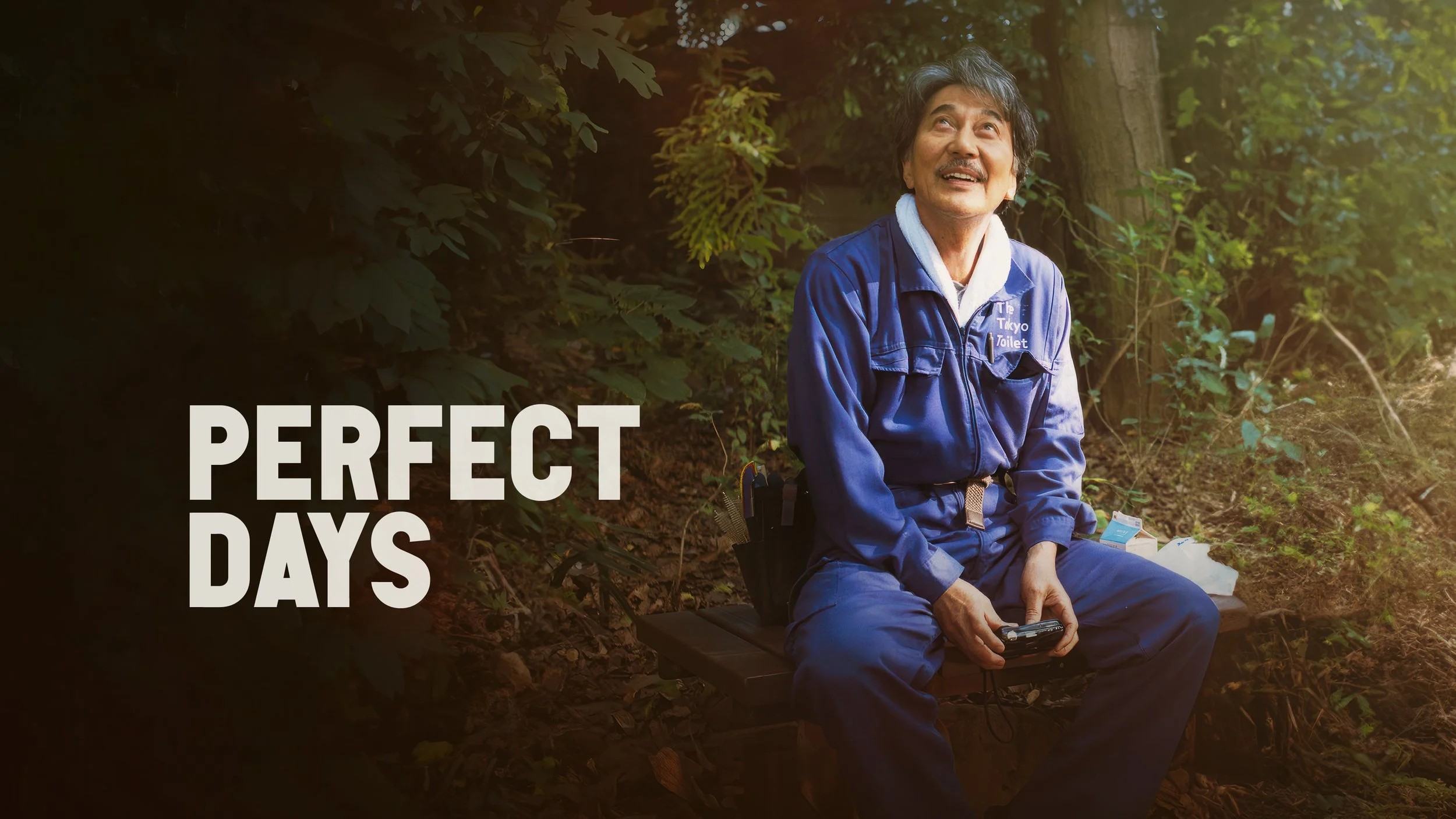 Perfect days