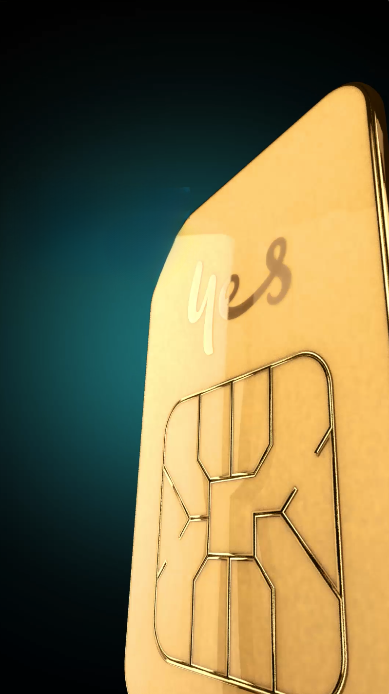 SIM Frame.png