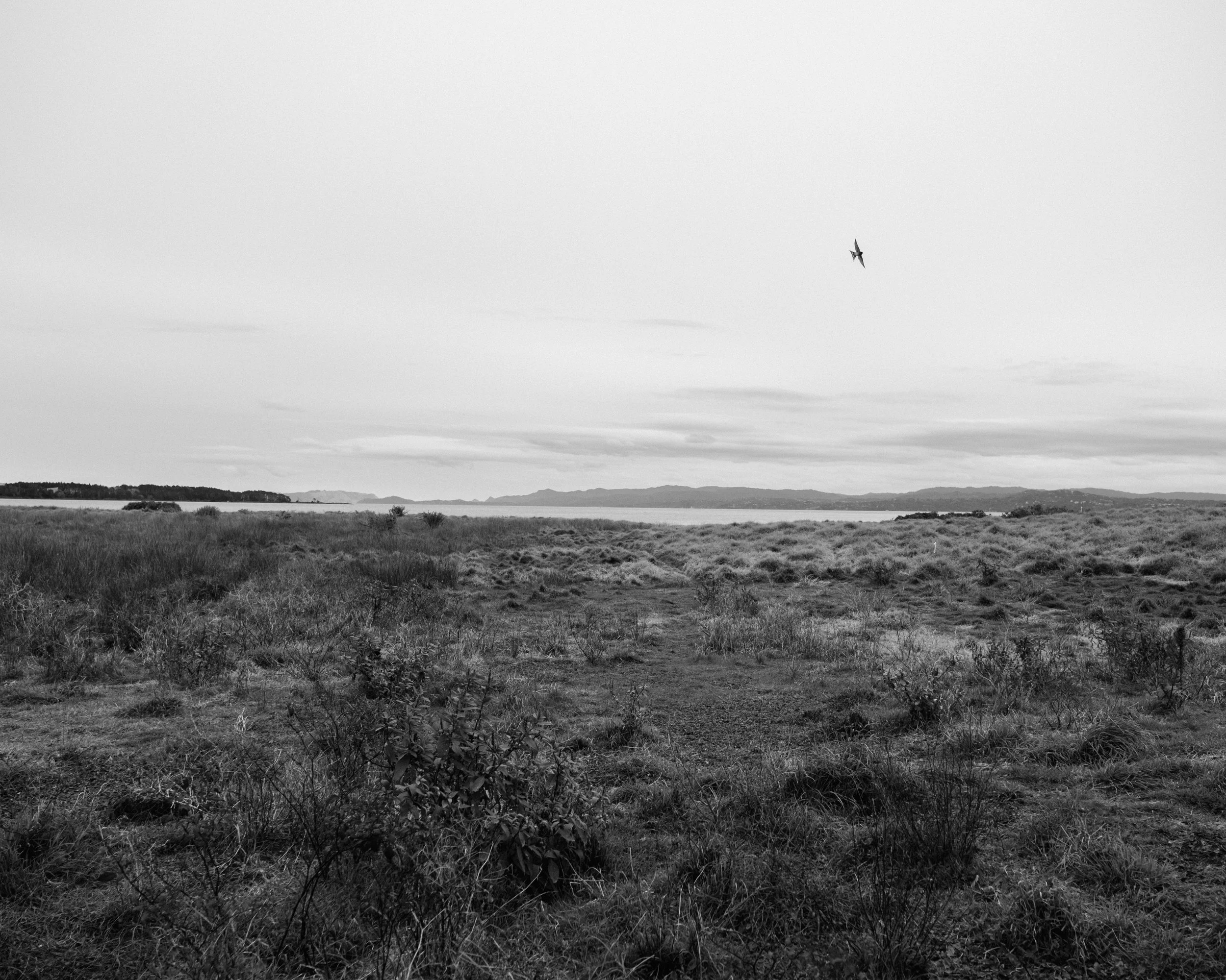 DSCF7887.jpg