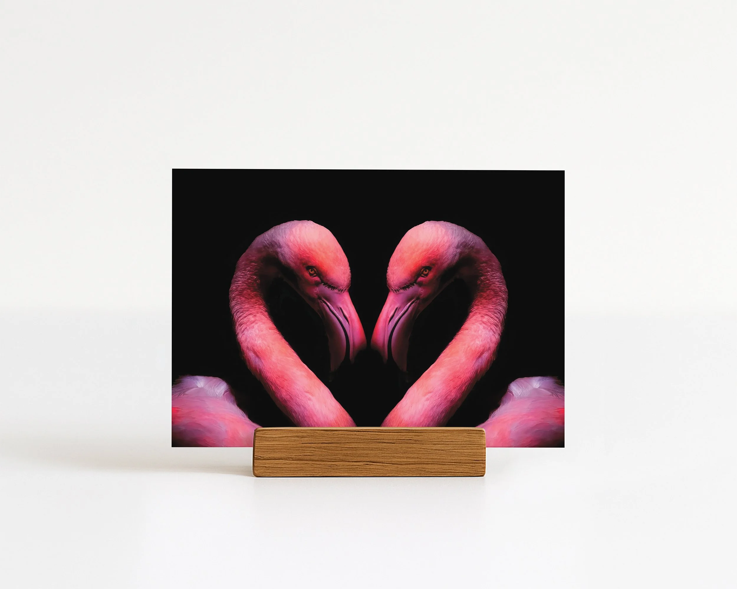 Flamingo postcard with two pink flamingos forming a heart shape on wooden stand