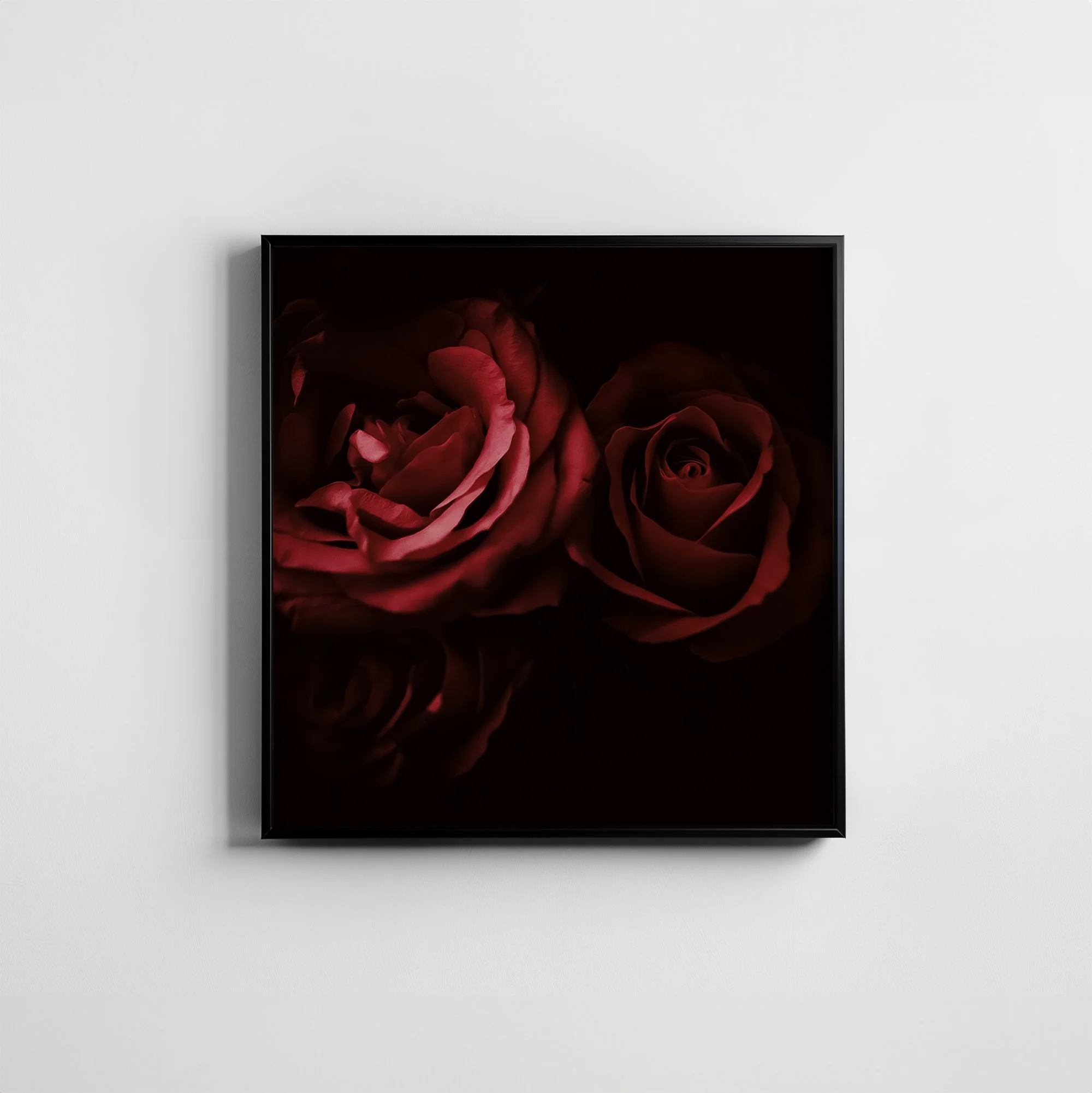 Square greeting card featuring deep red roses on a dark black background, displayed in a thin black frame and hung on a white wall.