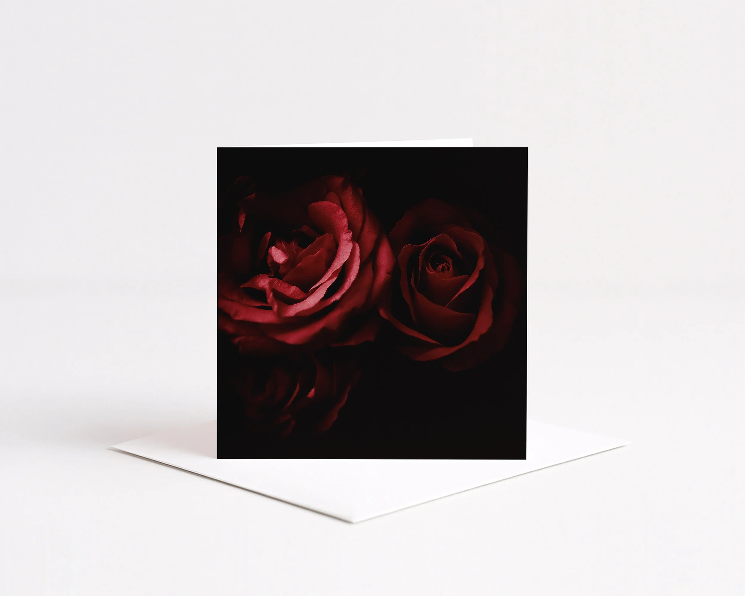 Square greeting card with deep red roses on a black background, displayed on a white envelope.