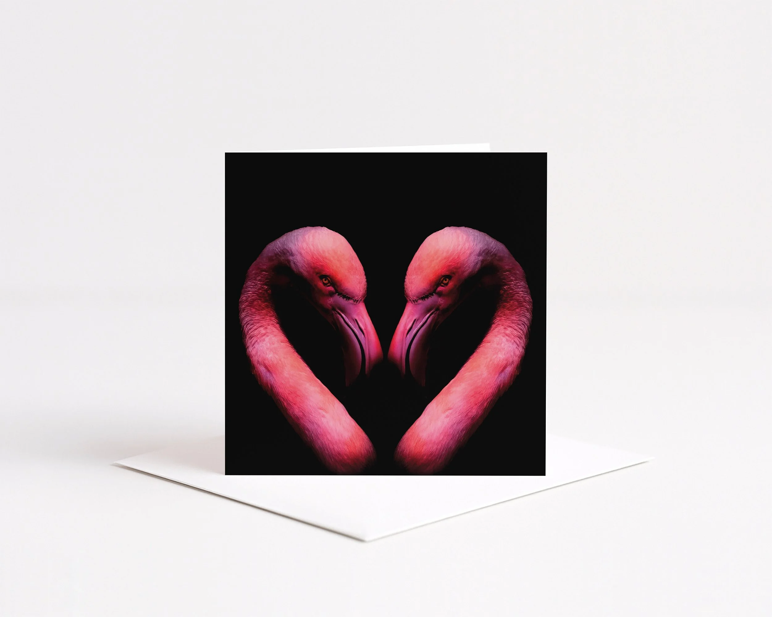 Greeting card featuring two pink flamingos forming a heart shape on a black background, displayed on a white envelope.
