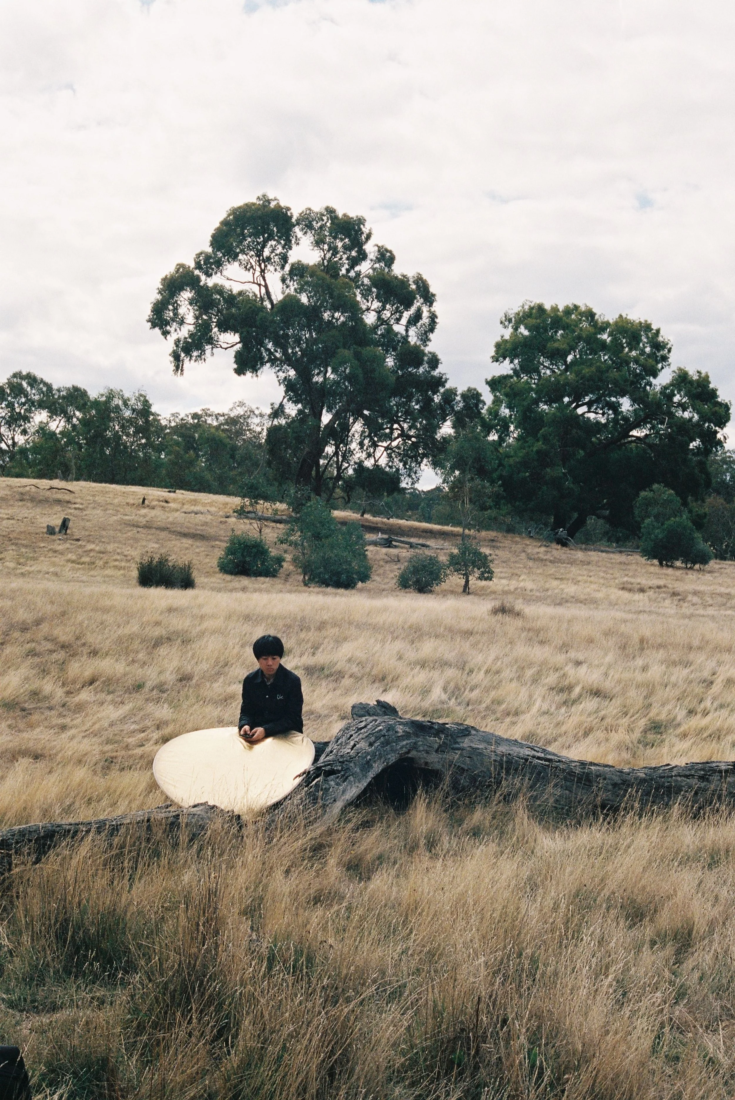  Fire Rabbit (2021)  © 2024 by shenae louise 