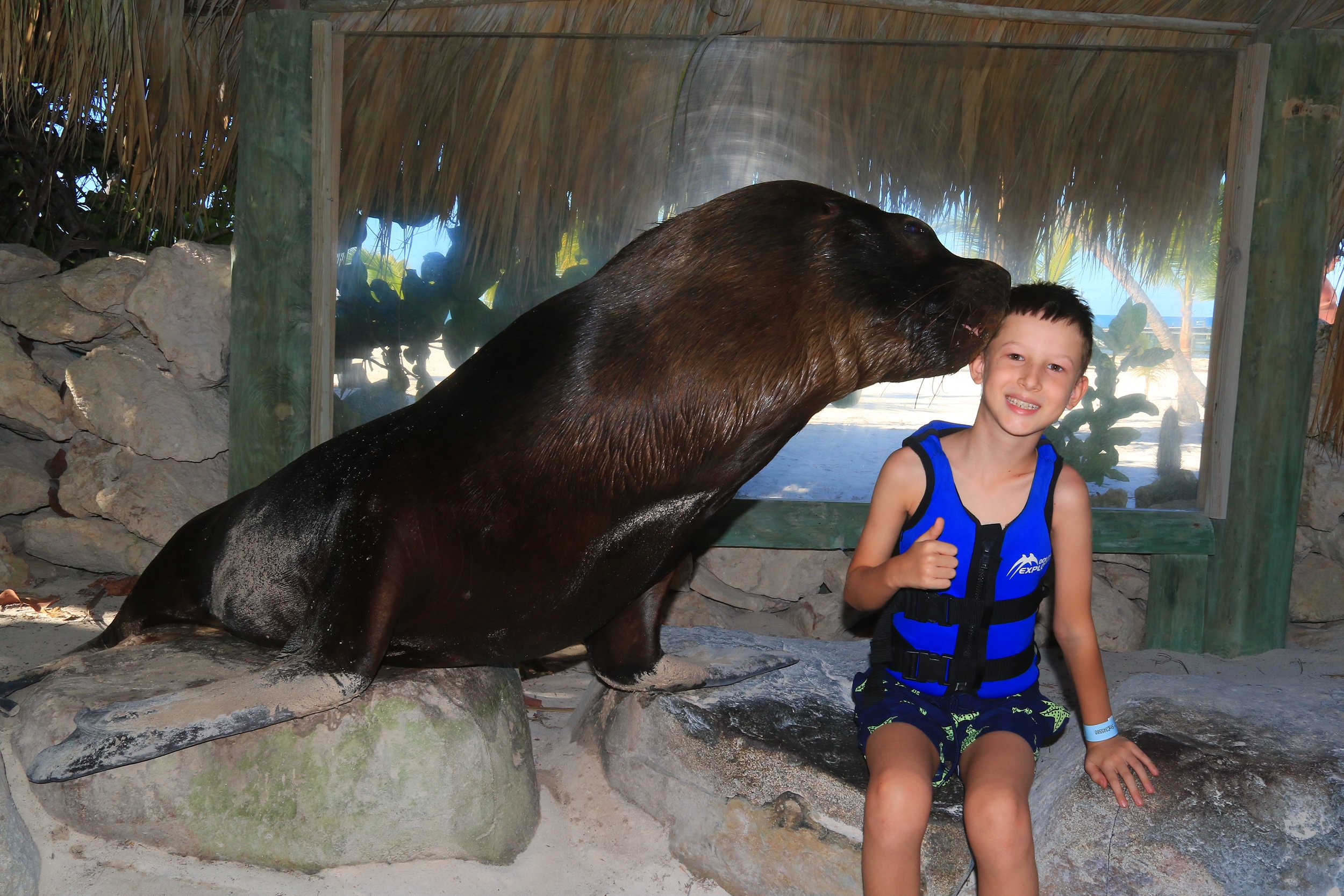 A young boy in a blue life jacket sitting on a rock, smiling, while a large sea lion rests its head on his shoulder at an outdoor zoo exhibit.