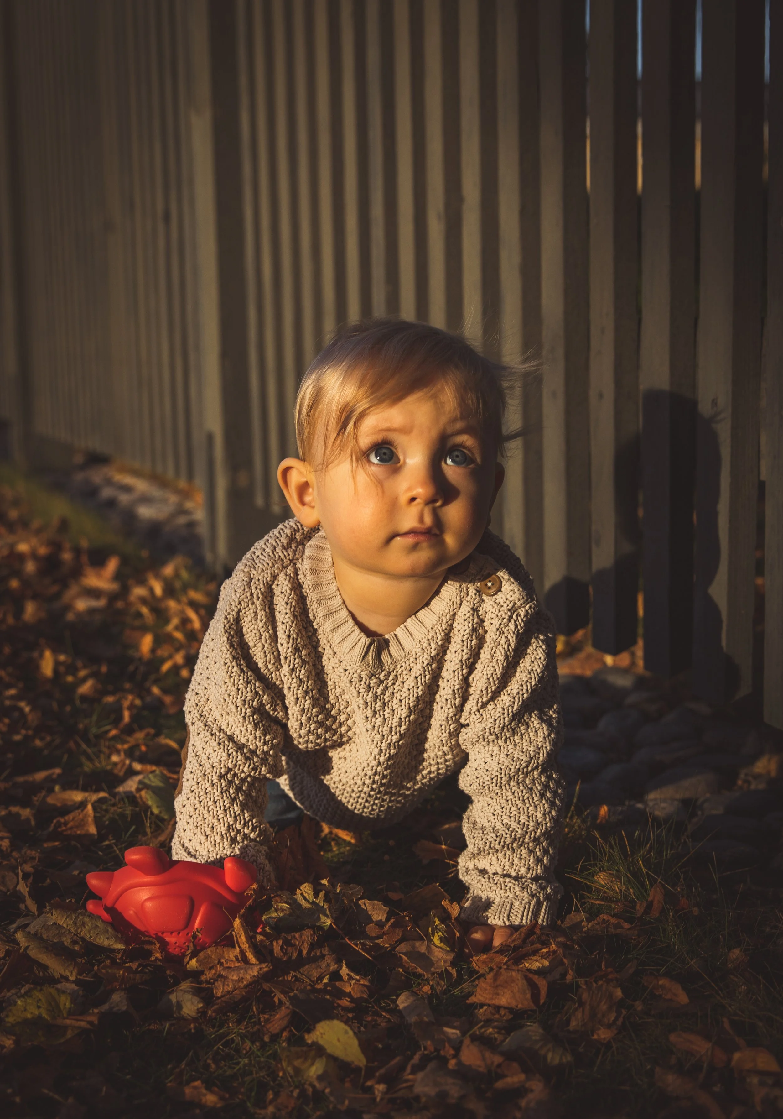 _78A9812.jpg