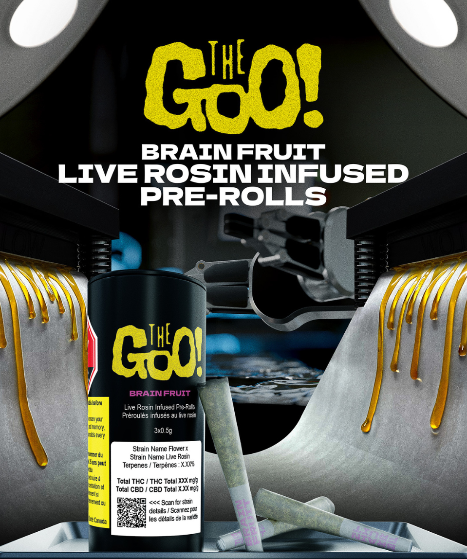 BRAIN FRUIT Live Rosin Infused Pre-Rolls