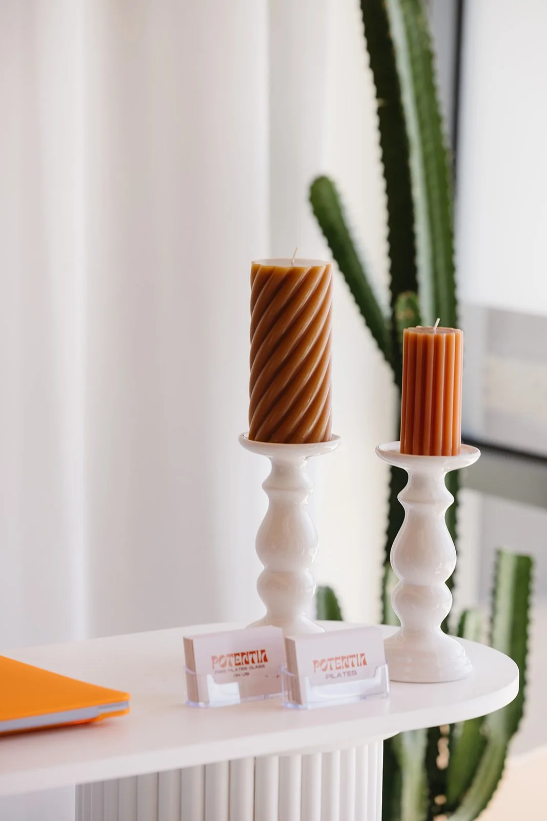 20250914_POTENTIA-MTELIZA_02_websize (1).jpg