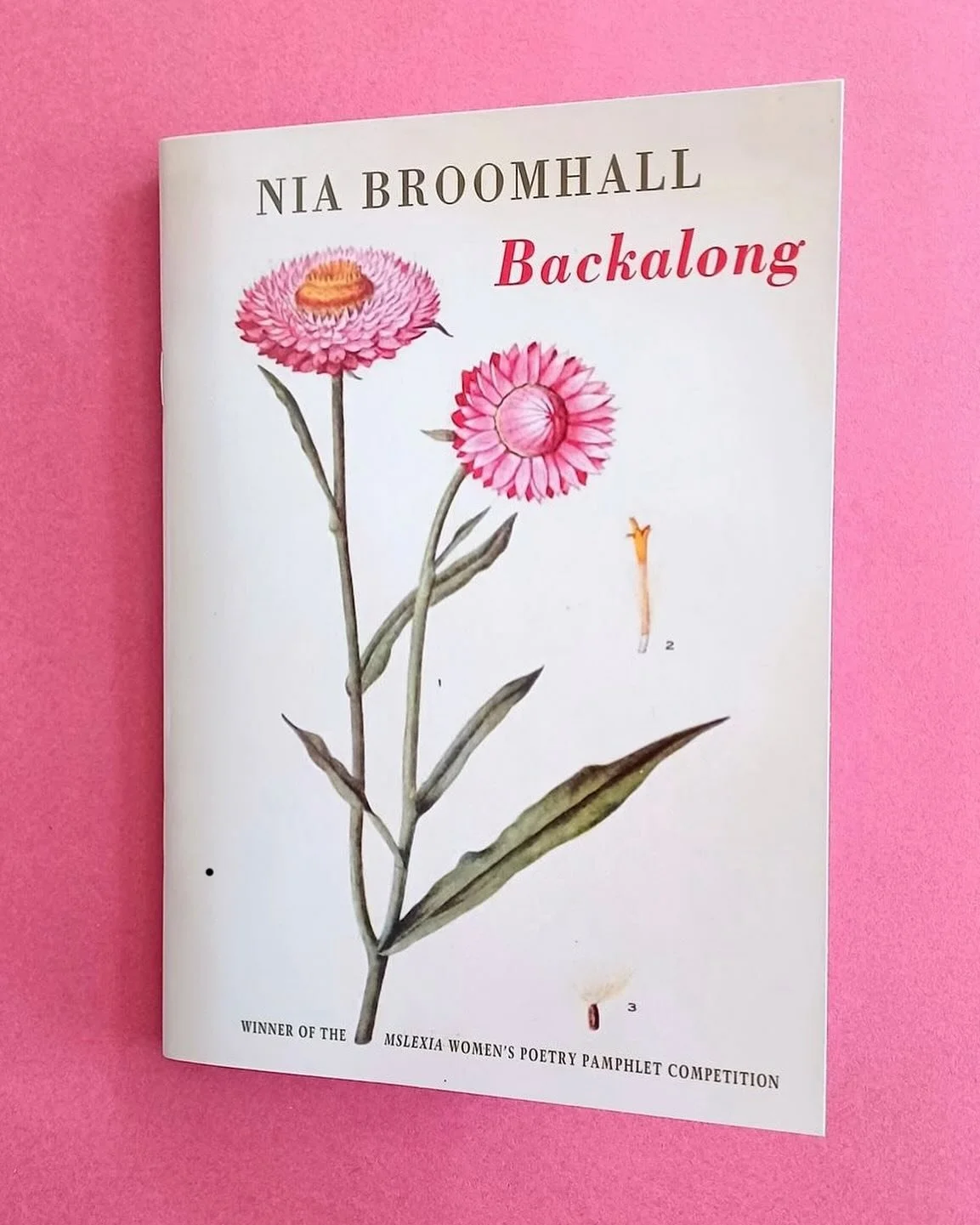 Happy first birthday to my little book! I&rsquo;m so grateful for every bit of support it&rsquo;s had. &hearts;️ @bloodaxebooks @mslexia