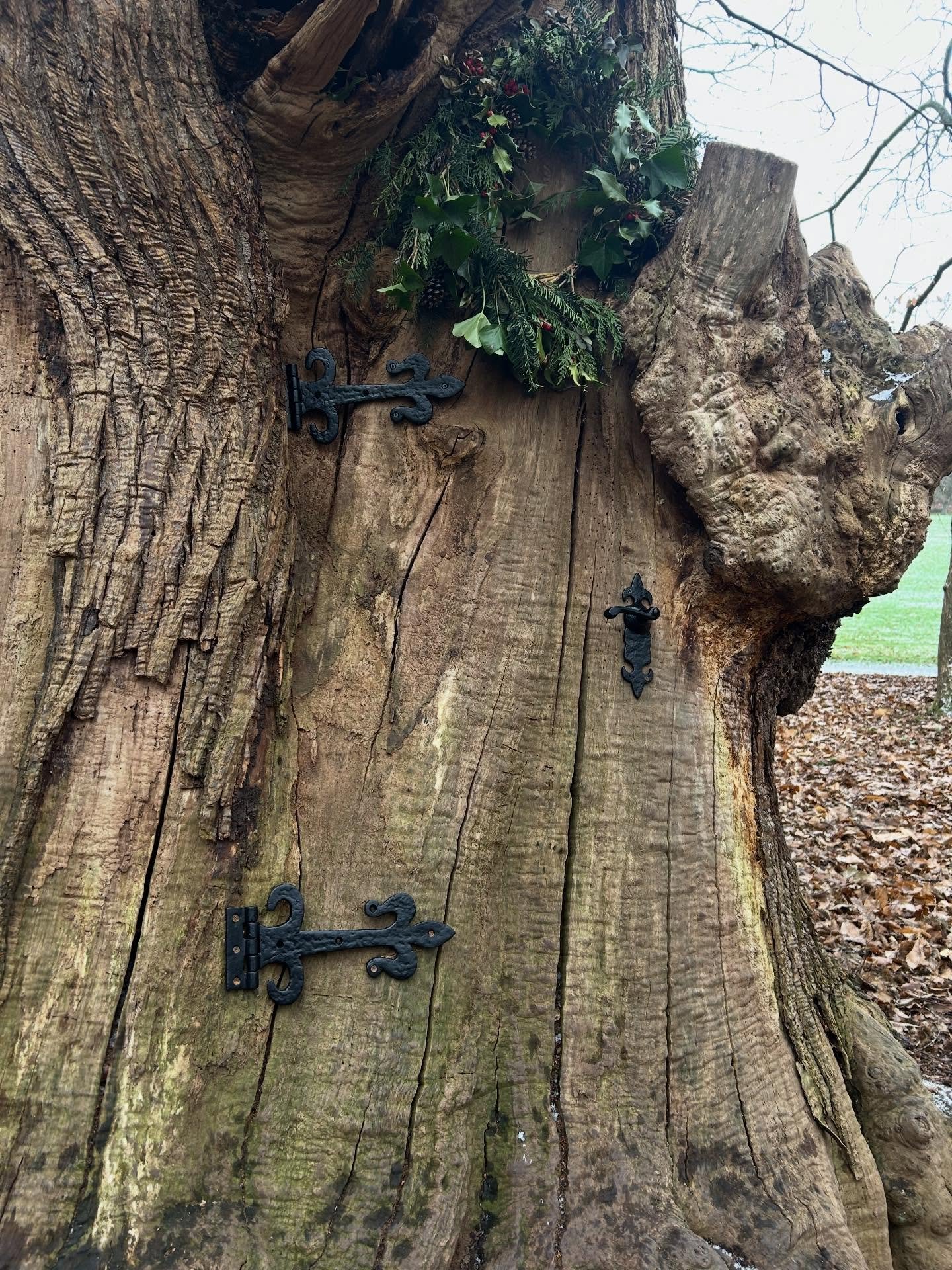 Wrapped my sniffly self up for a quick walk to see the fairies at icy, pretty @painshill today. I enjoyed writing a few poems for their lovely Fairy Door Trail but I take my hat off to @valharris, who came up with baskets full of beauties! Beautiful 
