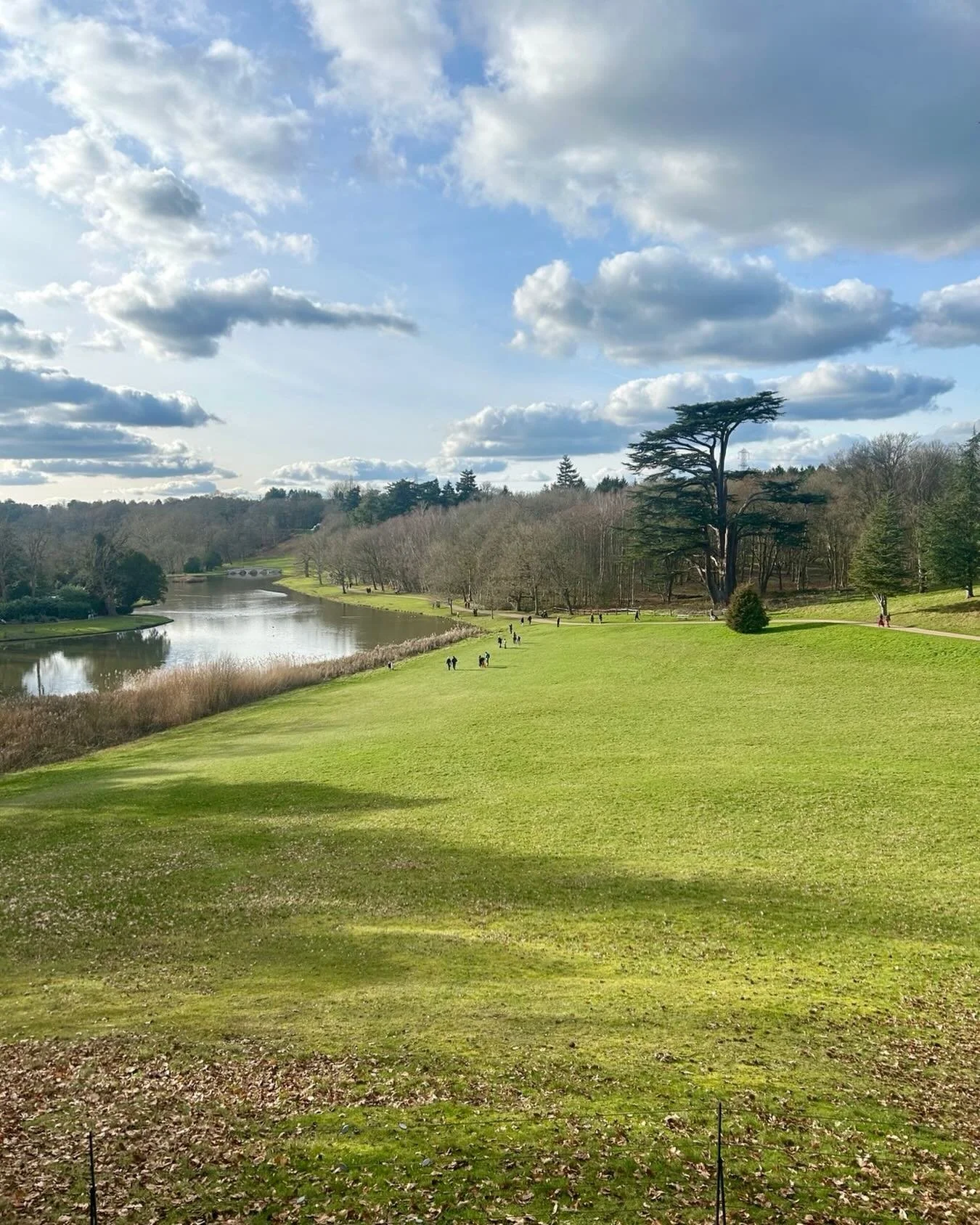 There&rsquo;s a strange bright thing in the sky today. I like it &hearts;️