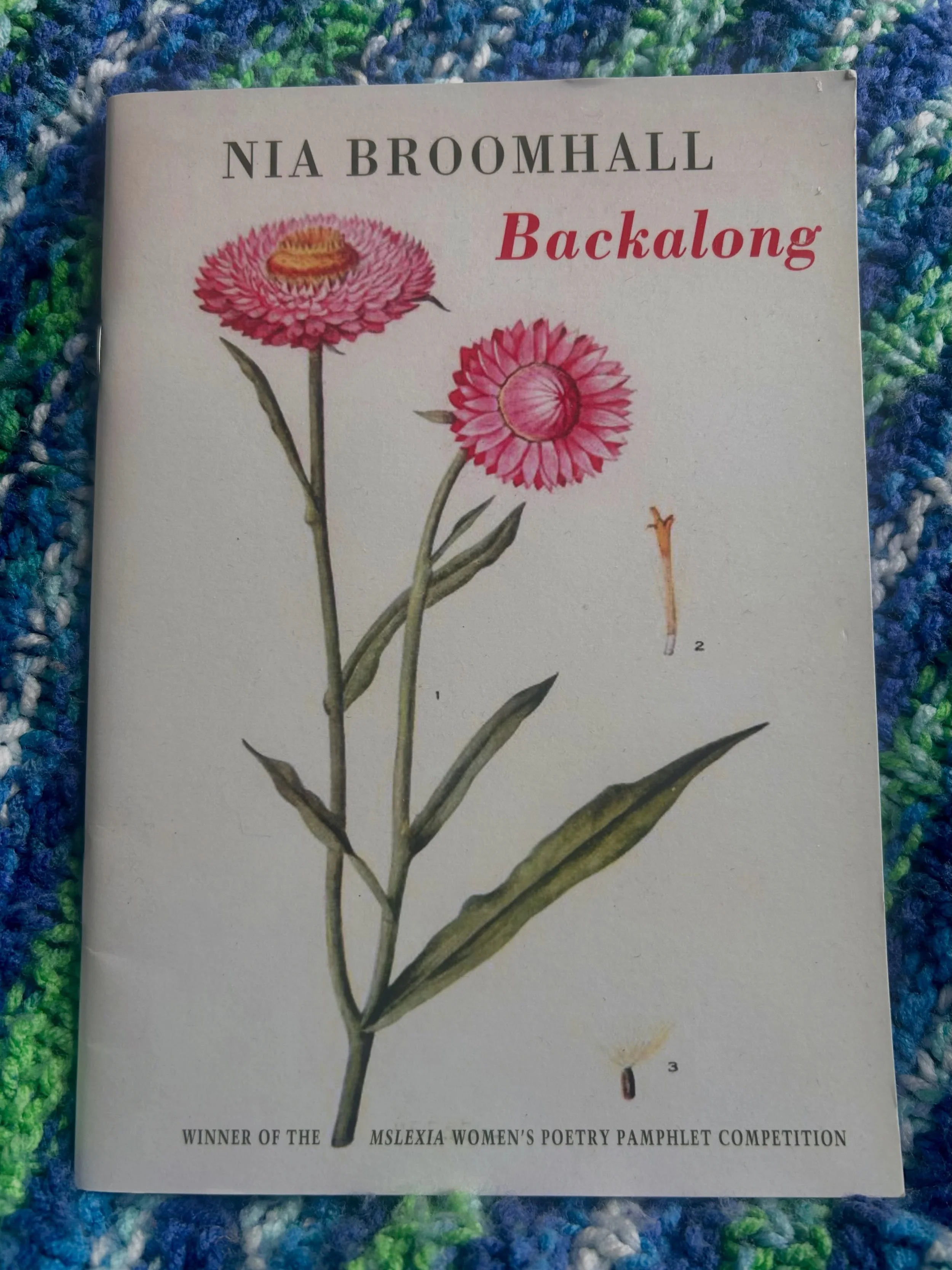 Backalong is two today! I&rsquo;m so grateful to everyone who&rsquo;s said nice things about it. &hearts;️ @mslexia @bloodaxebooks