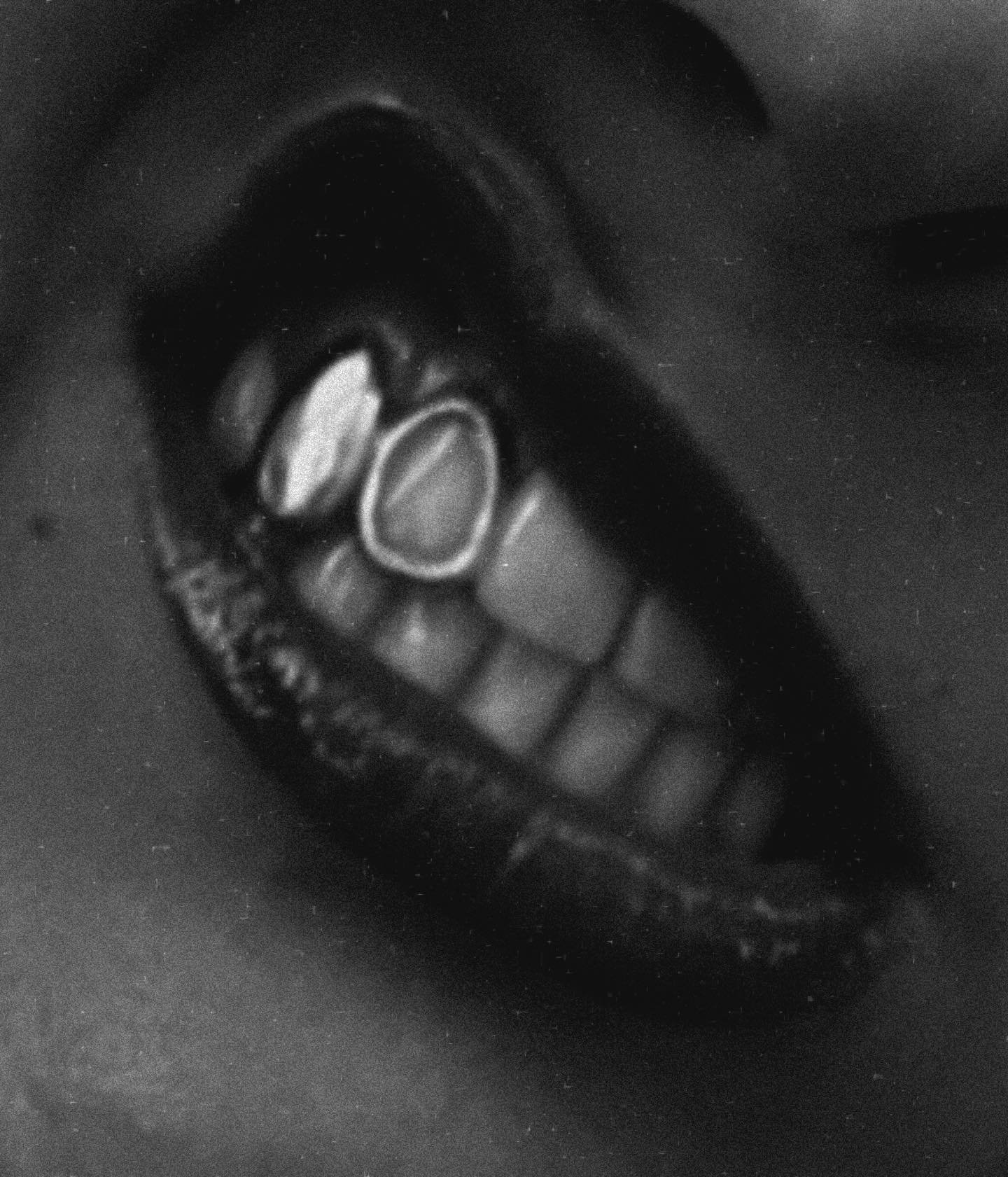 Obsessed with my Grillz ✨
Get yours !! @grillzbydenuit 🤍