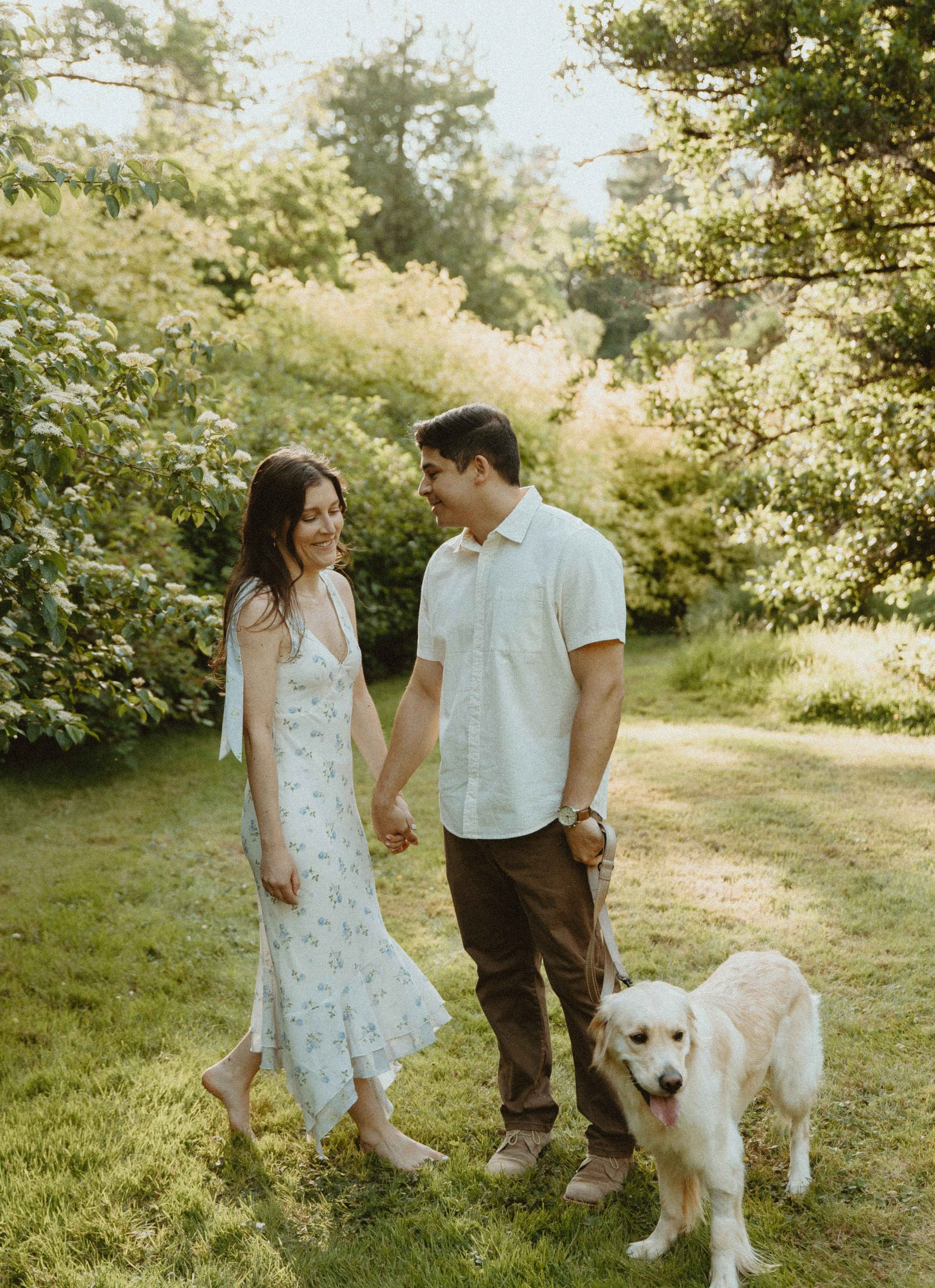 A young couple holding hands and smiling in a park with lush green trees and grass, accompanied by a large white dog.