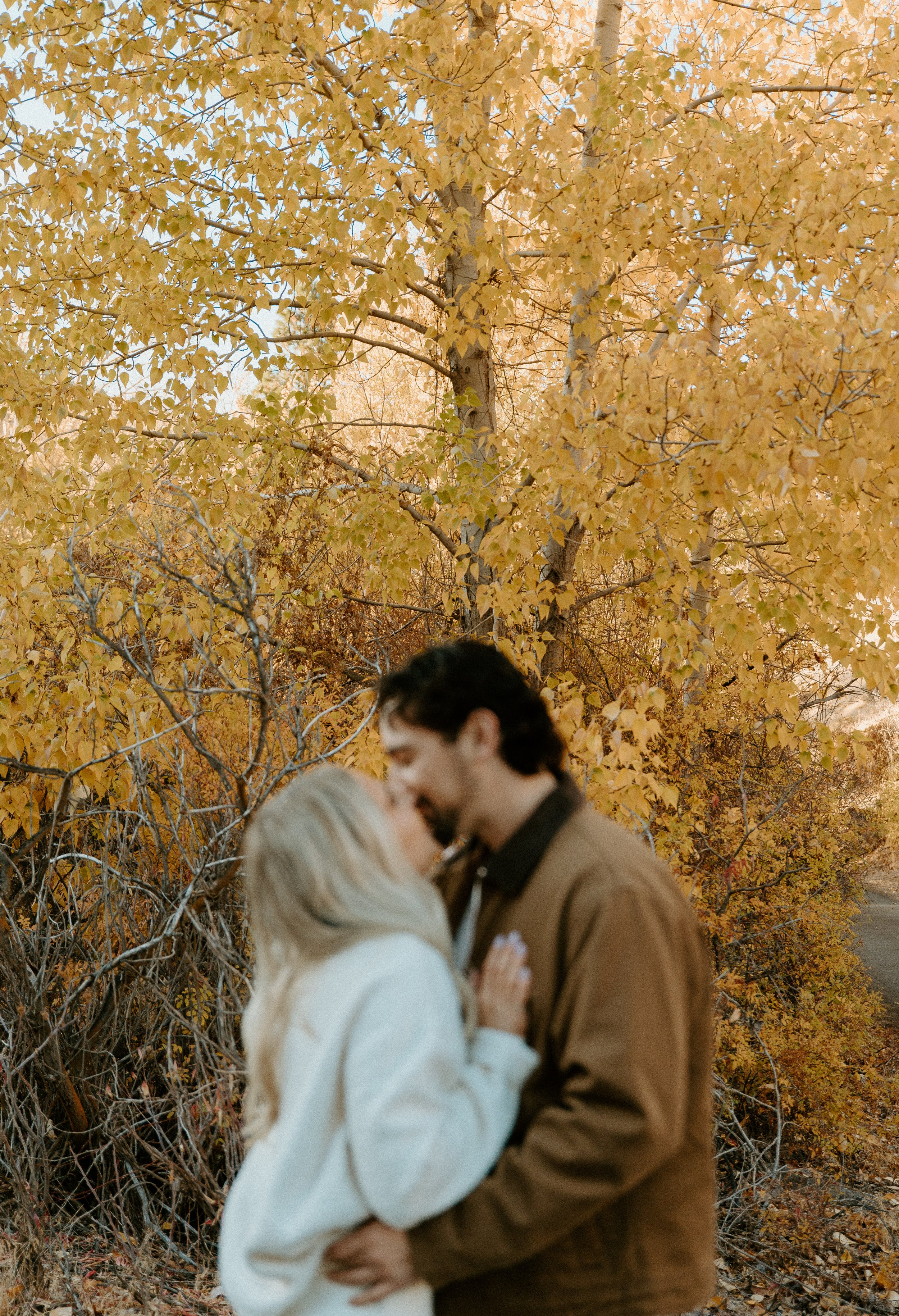 Washington engagement photographer + fall colors in Yakima + romantic couple in leaves