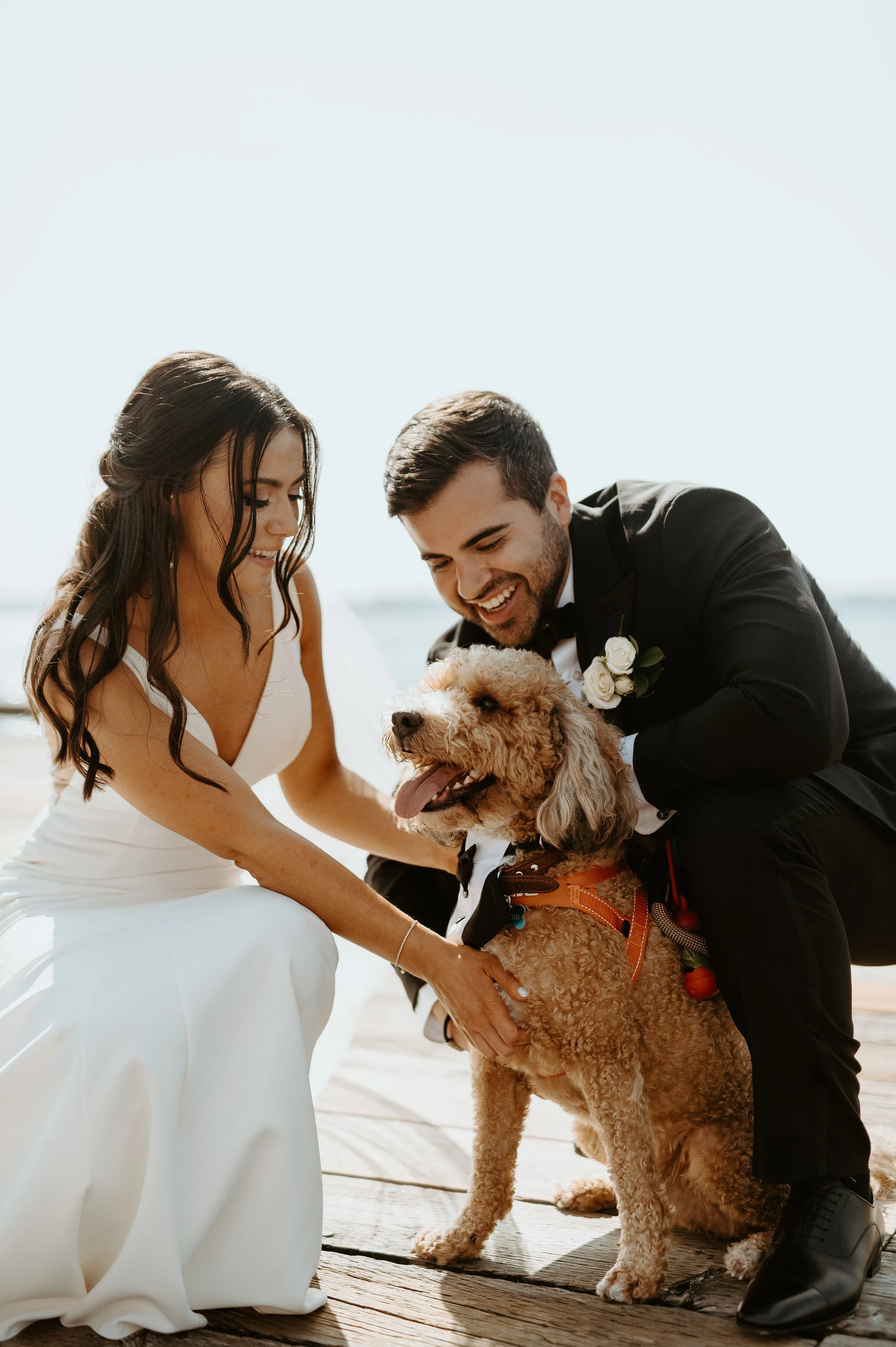 Bride and groom walking hand-in-hand during golden hour + sunset wedding portraits + Woodinville wedding + Washington wedding photography