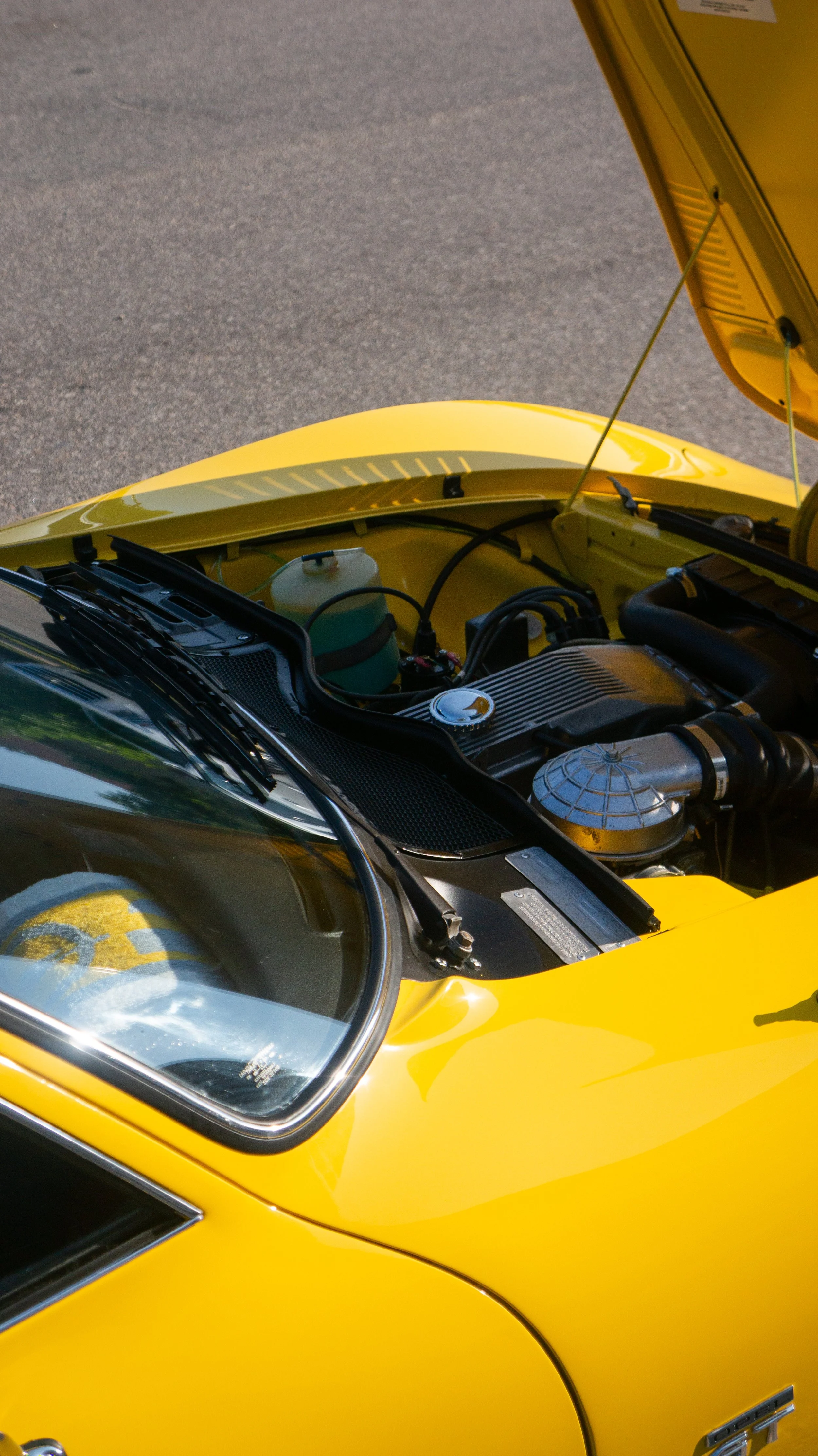 DSC03739.jpg