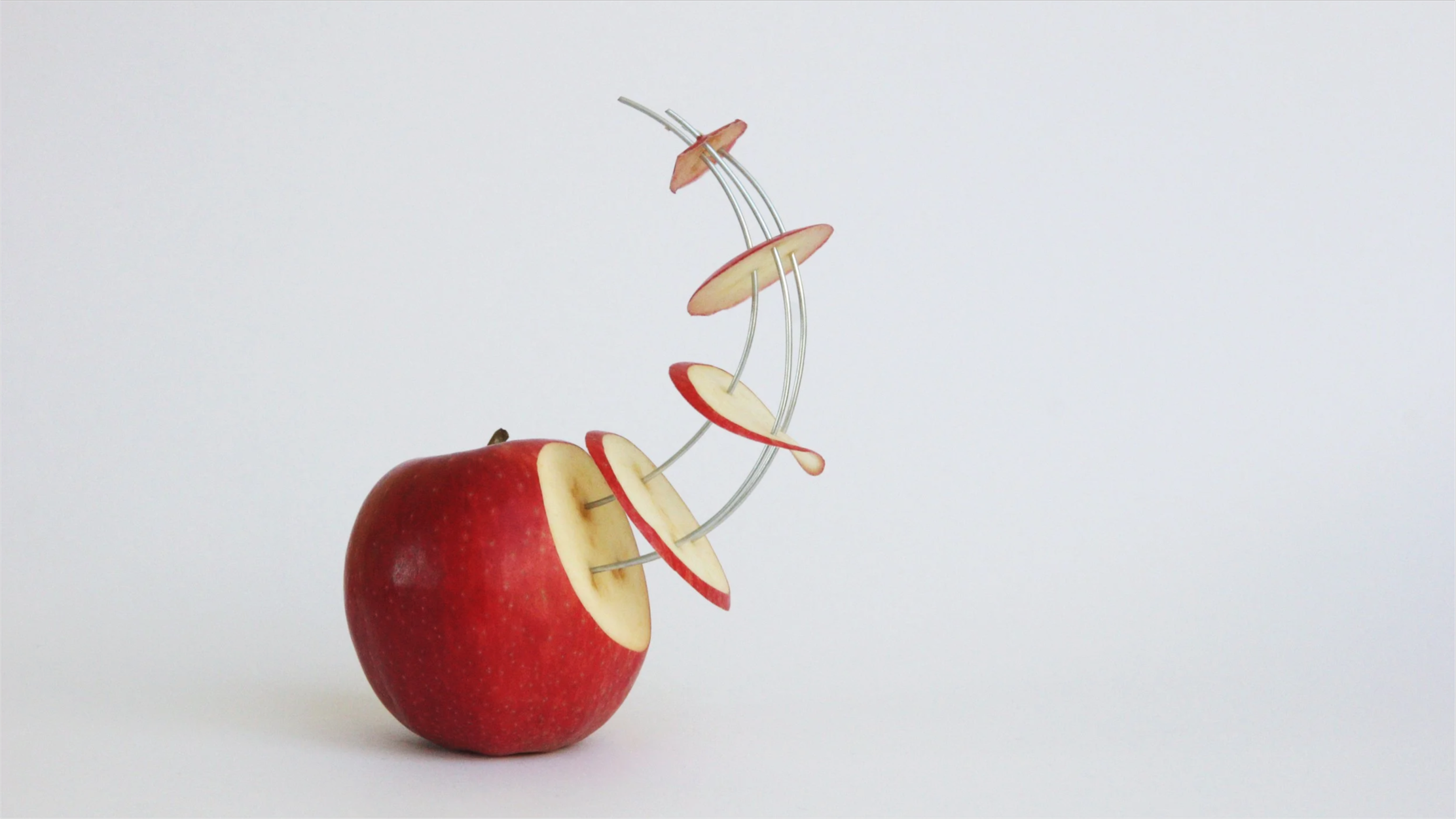 Red apple with multiple apple slices attached to thin metal wires, arranged to look like an abstract sculpture, set against a plain white background.