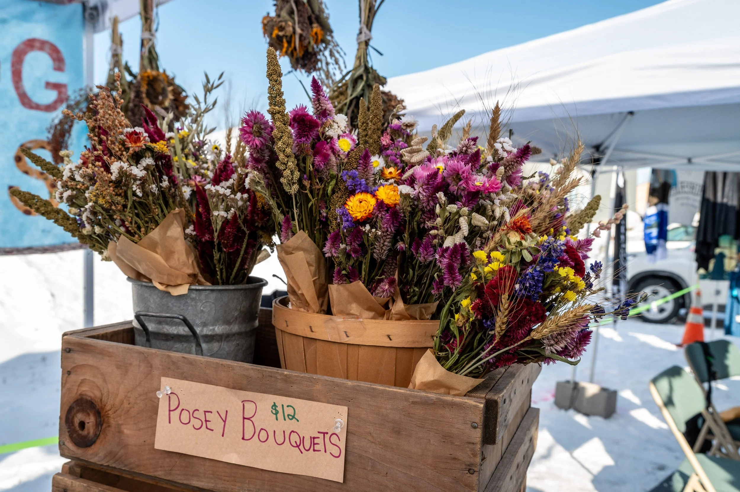 Queer Arts Festival-7470.jpg