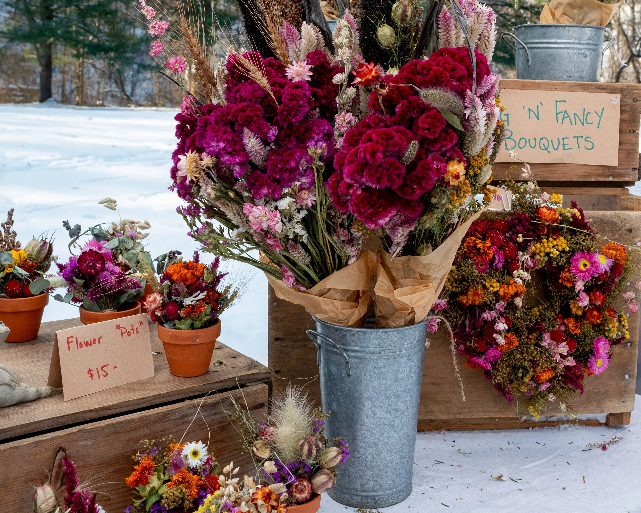 Queer Arts Festival-7468.jpg