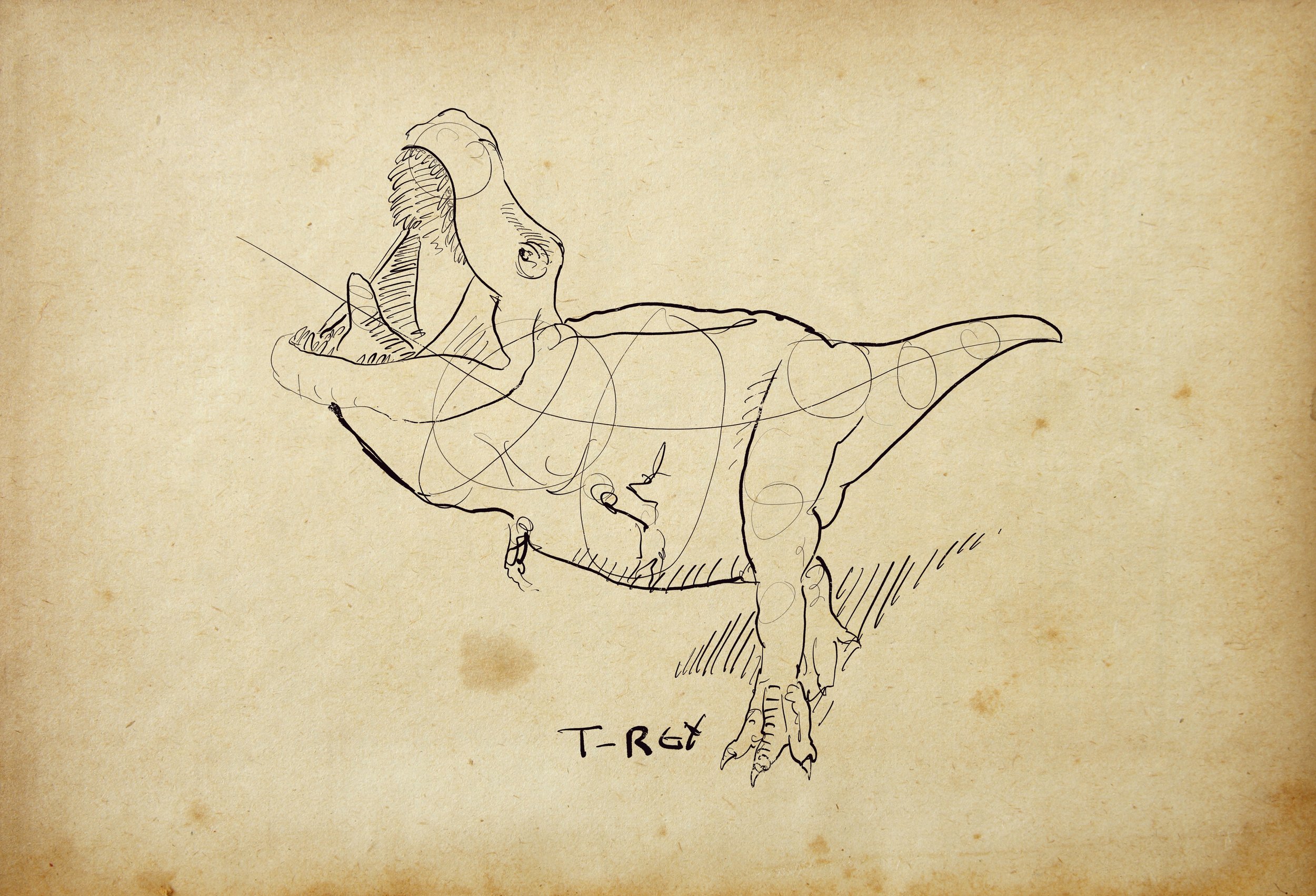 Sketches