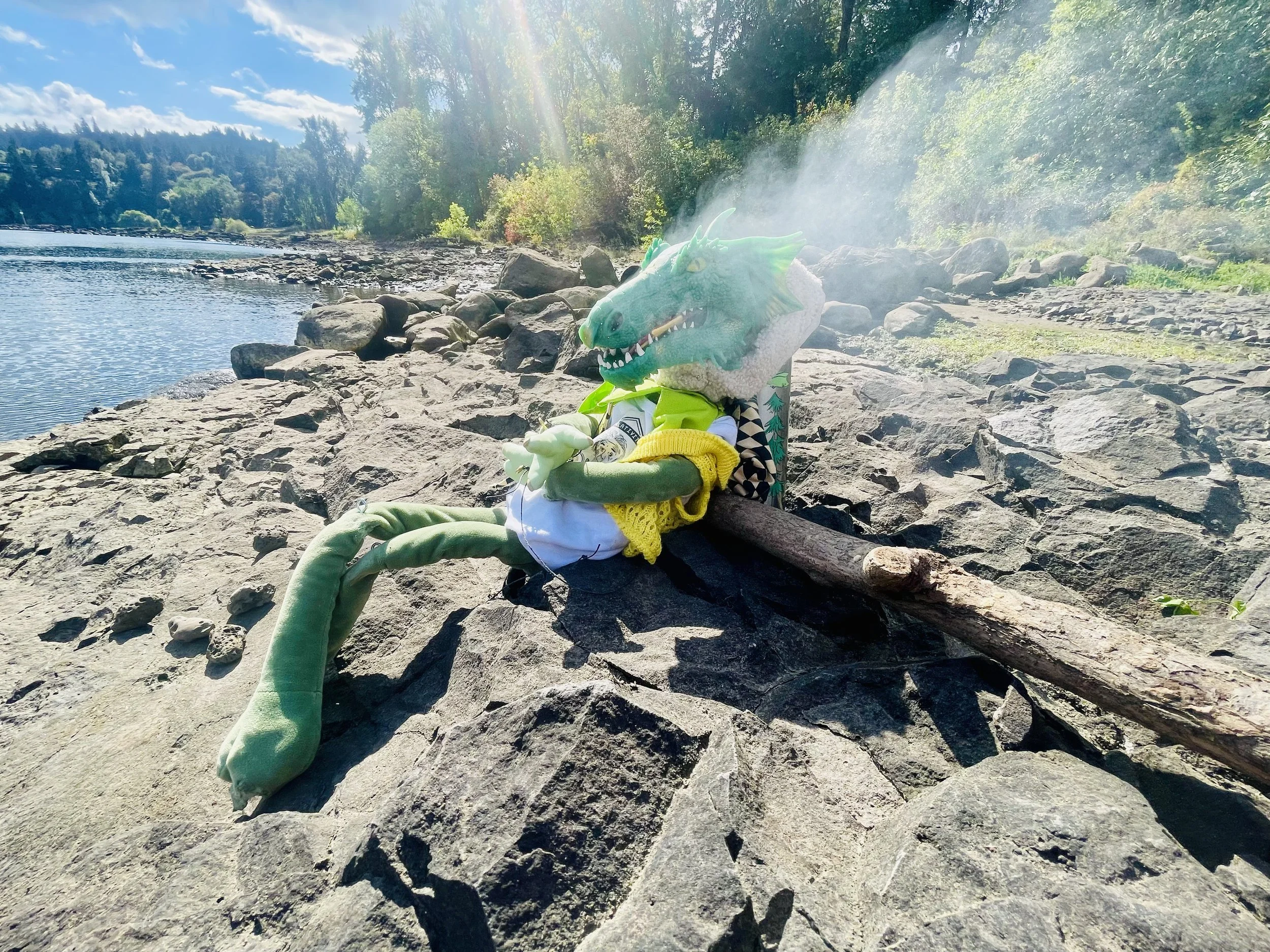 Kermit the Dragon
There are more Kermits. Notice he always adds "the frog" This one is a love child. 