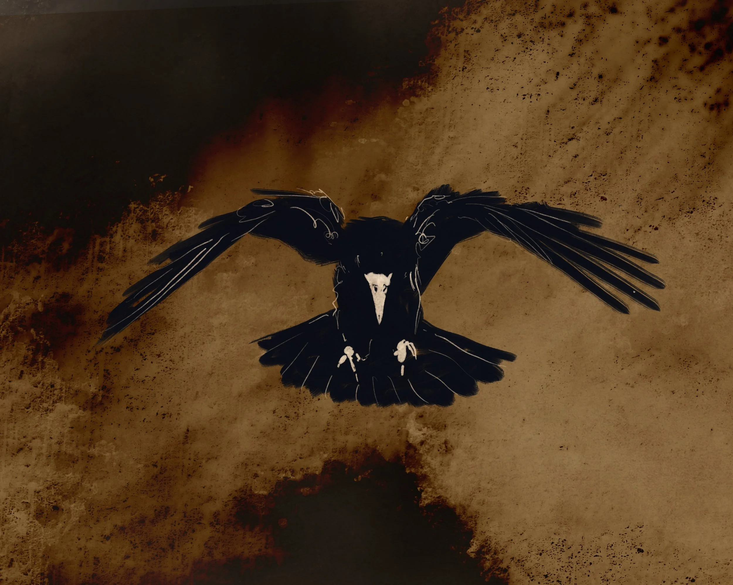 Raven.jpg