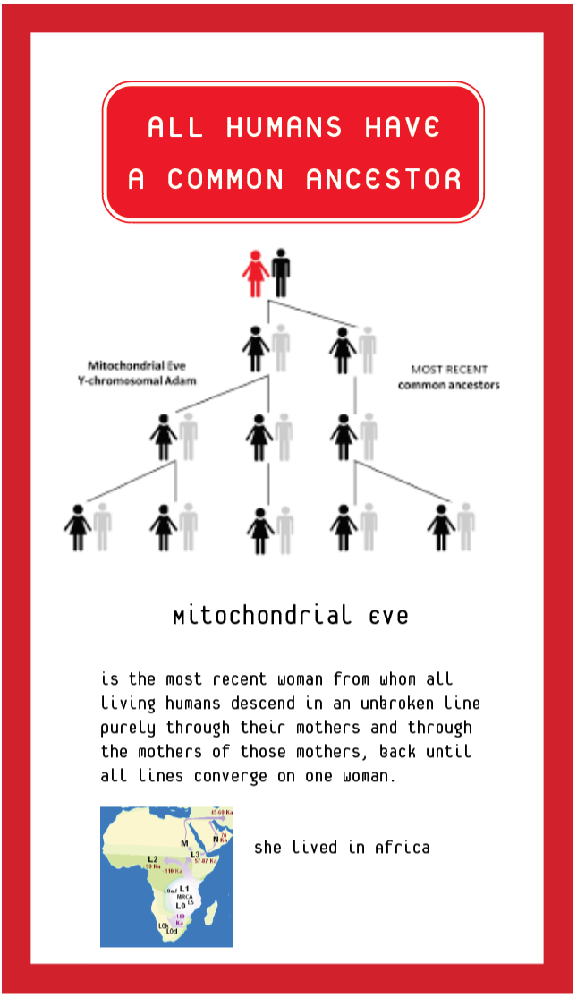 Screenshot 2025-09-09 at 8.13.35 AM.png