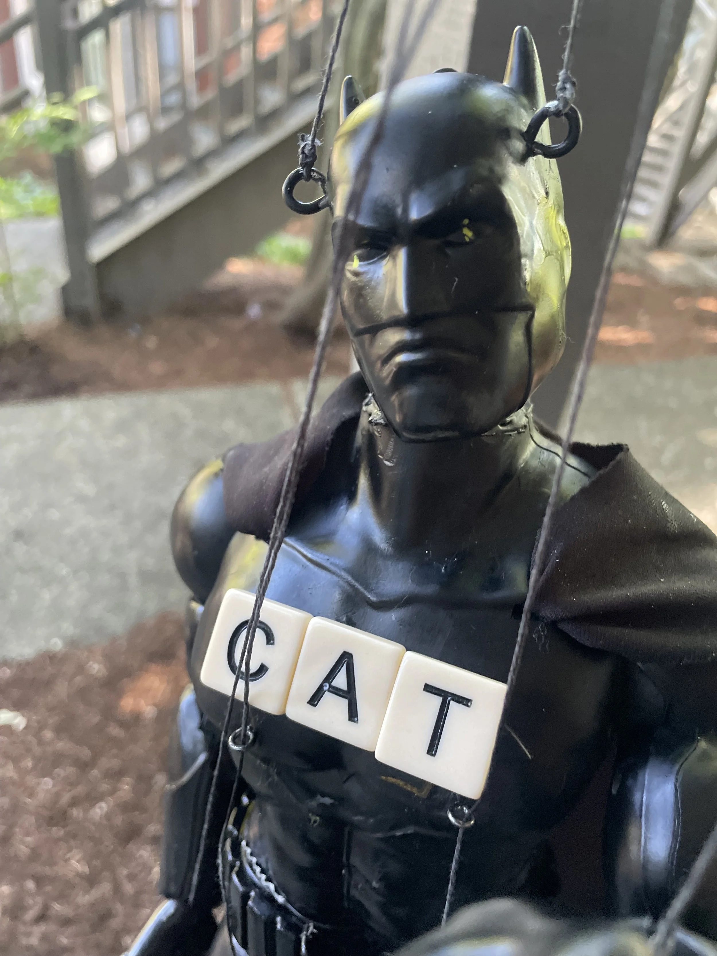 CATMAN
The ears, He’s always landing on his feet, no echolocation, really good at fighting, his love interest is Catwoman. And the final straw: He’s always soooooooo curious!!