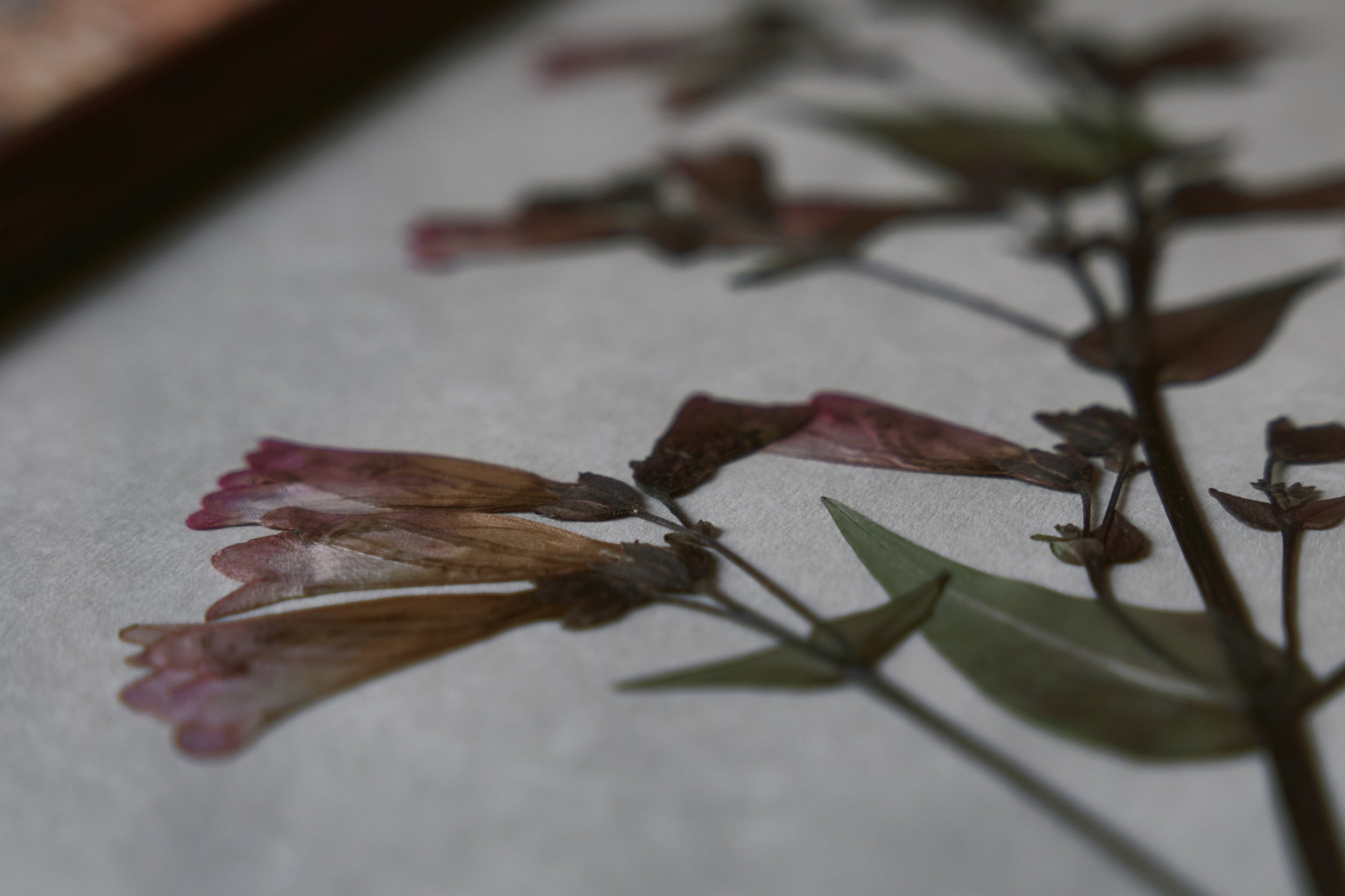 processed_Frames 14.06 18.jpg